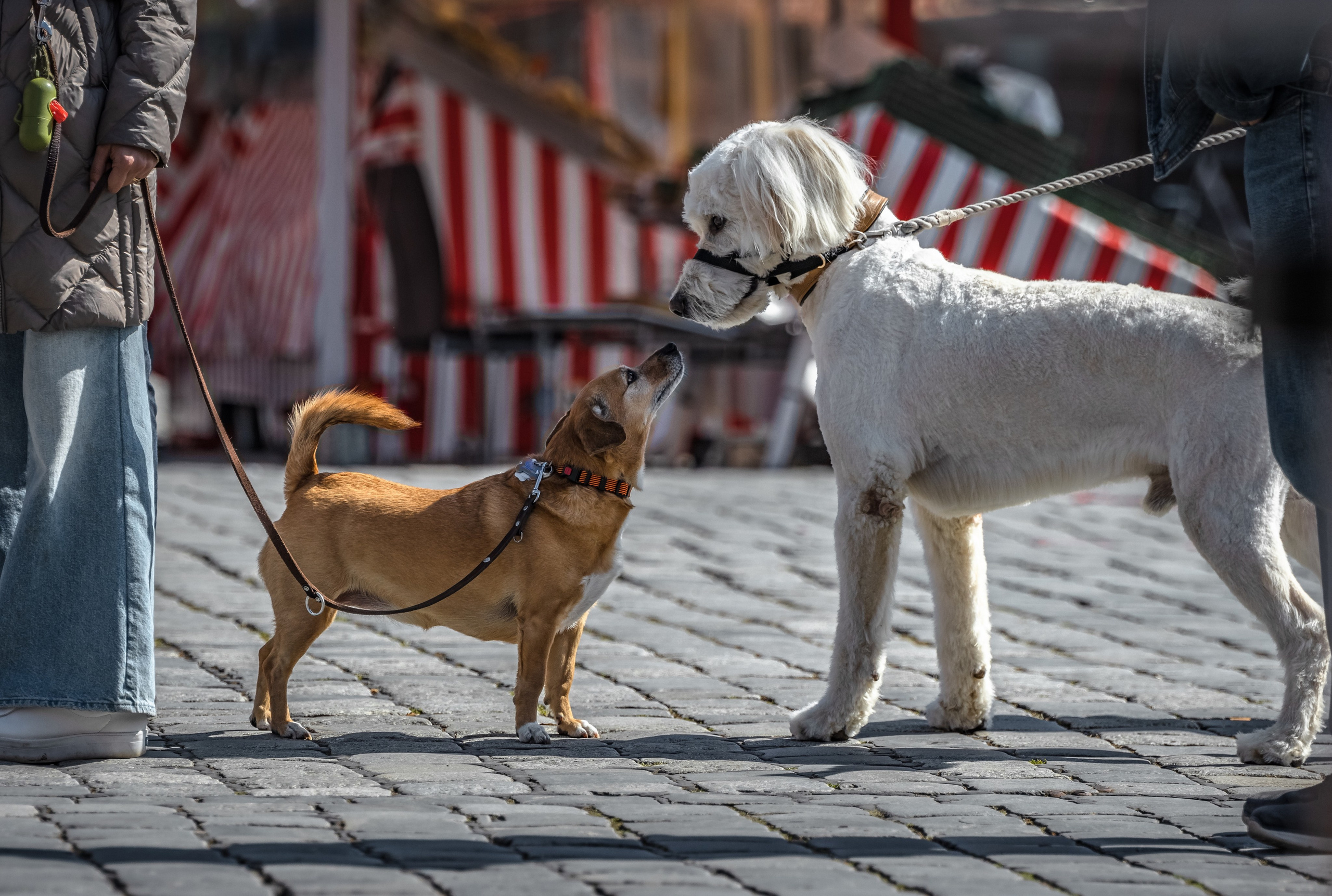 STREET. NE Cinema — backstage and reportage photography in cinema, music, Automotive and sport