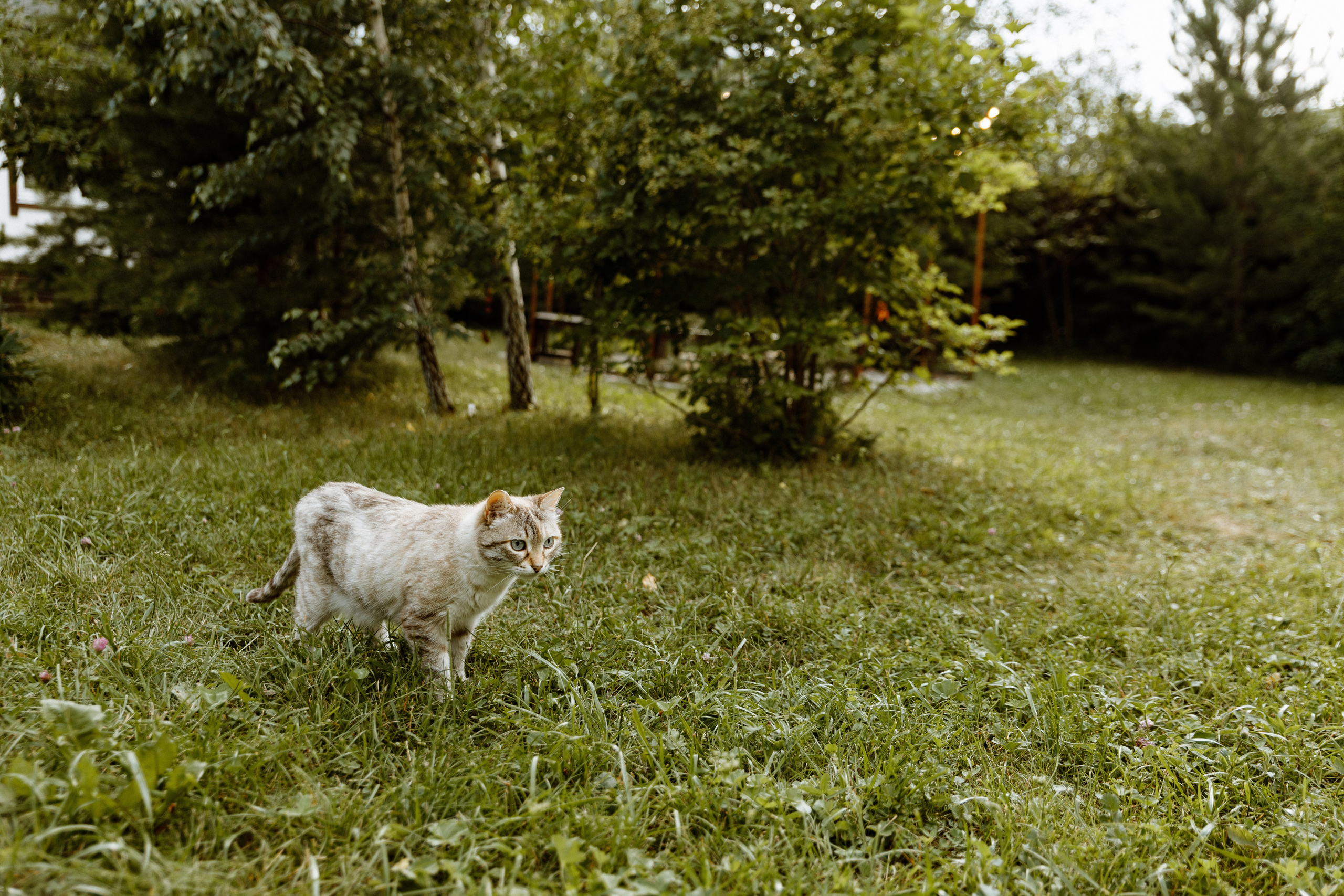 Павел и Анастасия. Усадьба Масловых. Свадебный фотограф Балчугова Мария Екатеринбург