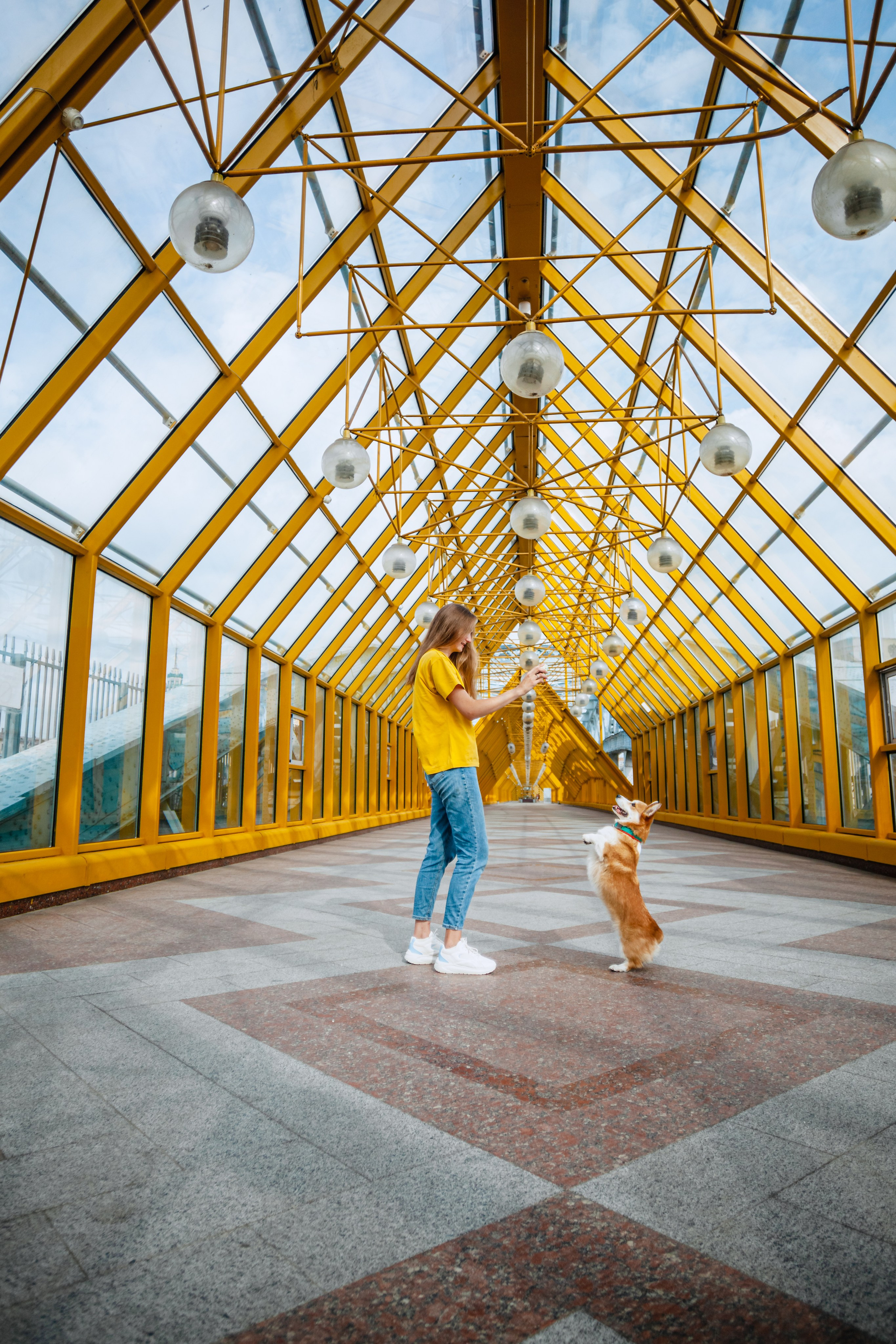 Андреевский мост. Фотограф-анималист Татьяна Степанова