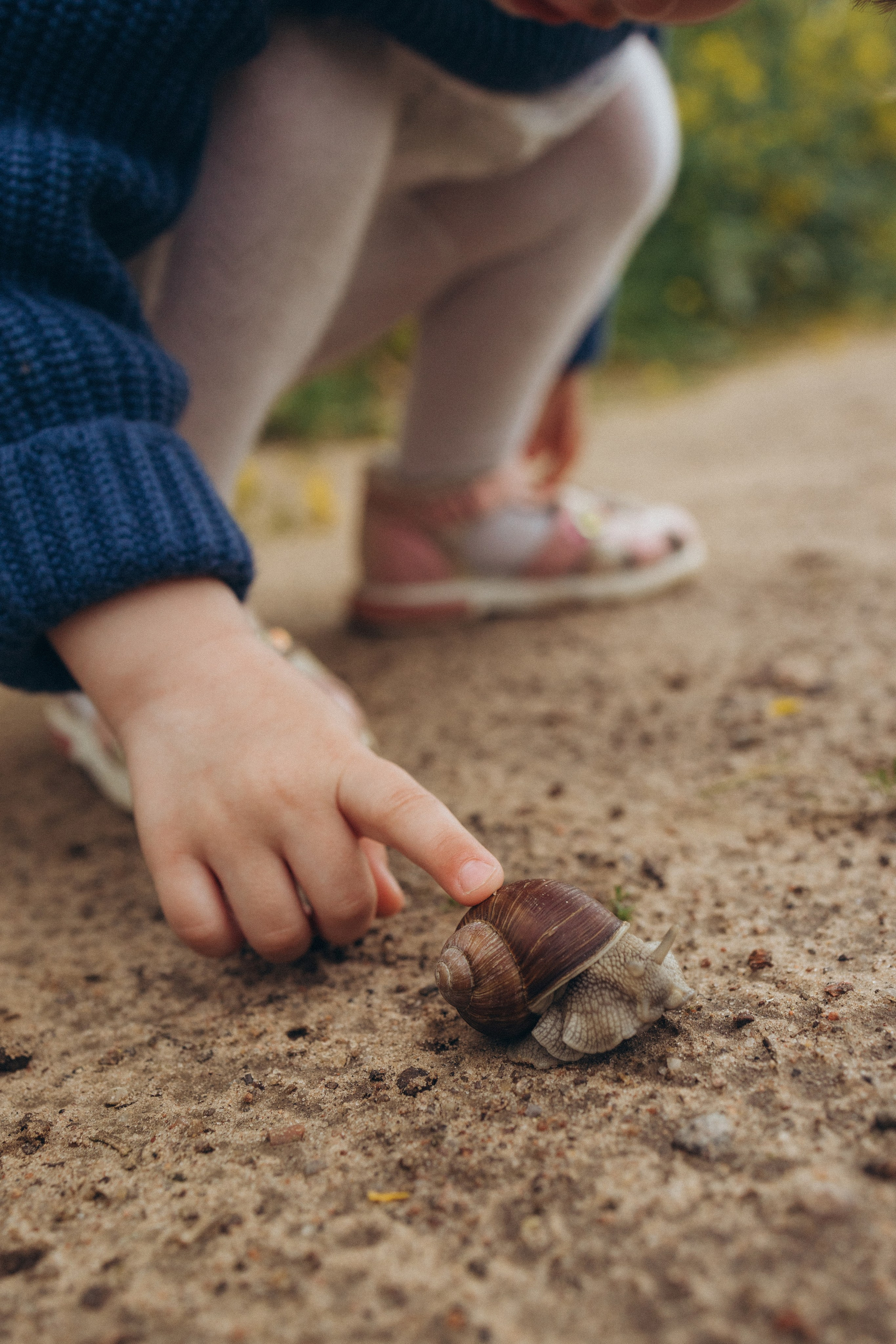 После дождя. Фотограф Елена Рябцева