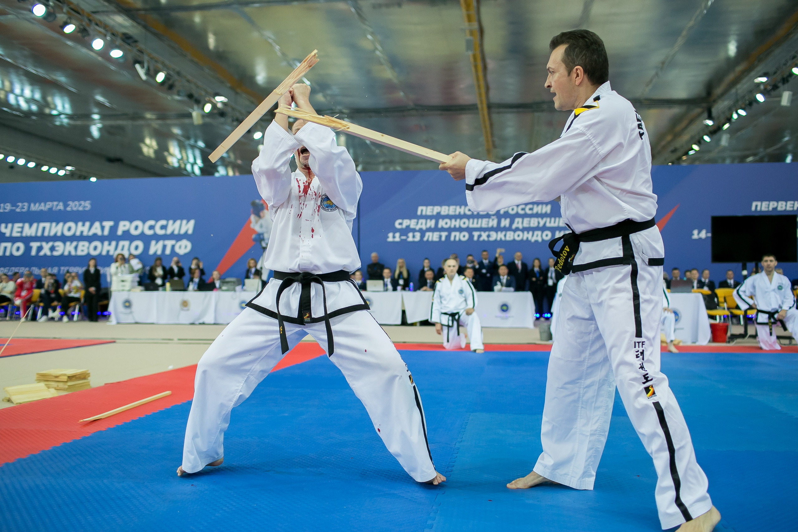 Тхэквондо. Фотограф в Сочи, Краснодаре и Ростове на Дону