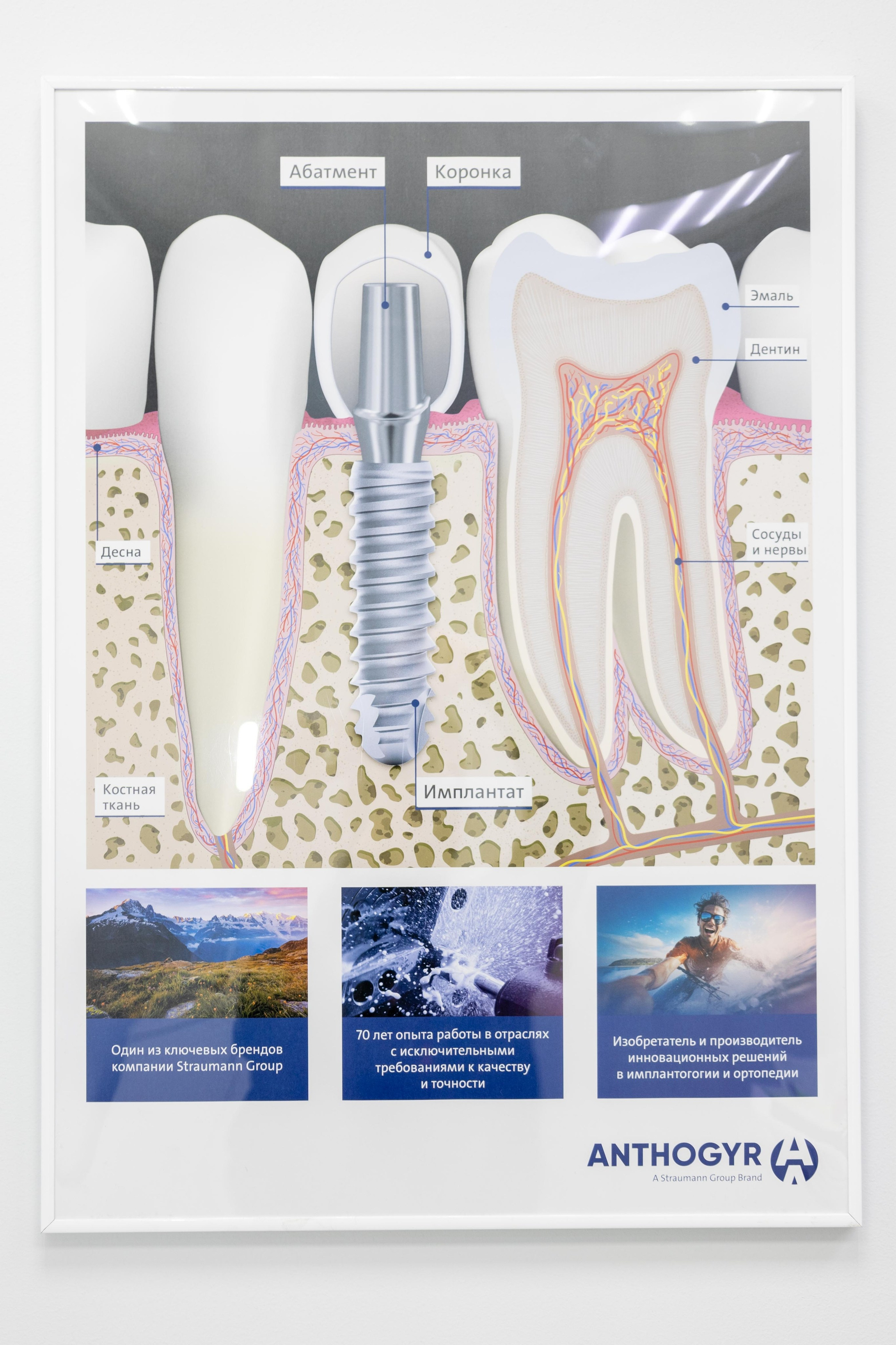 Клиника. Mintonov's Film Studio