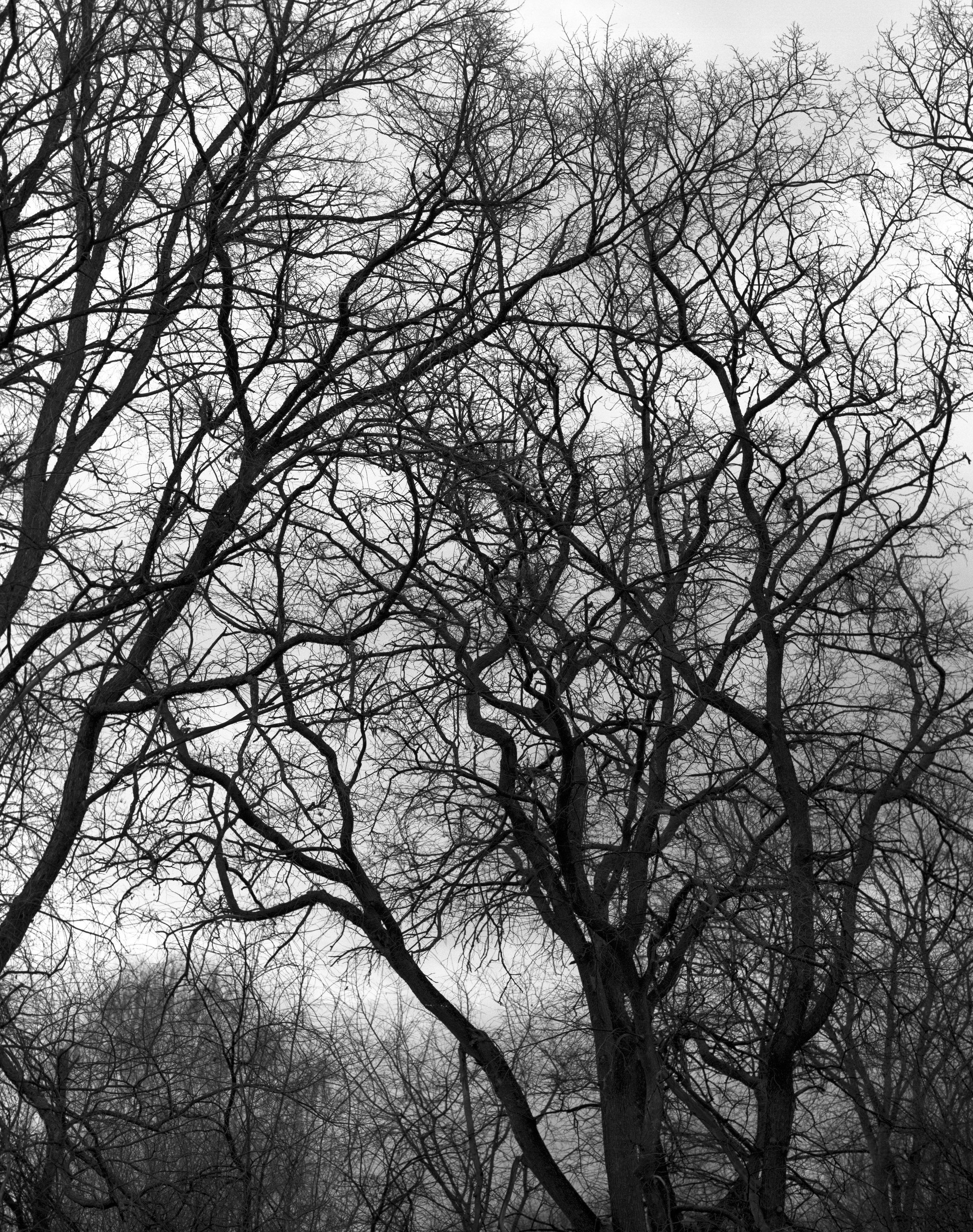 Прикосновение. Фотограф в Санкт-Петербурге Березовский Даниил