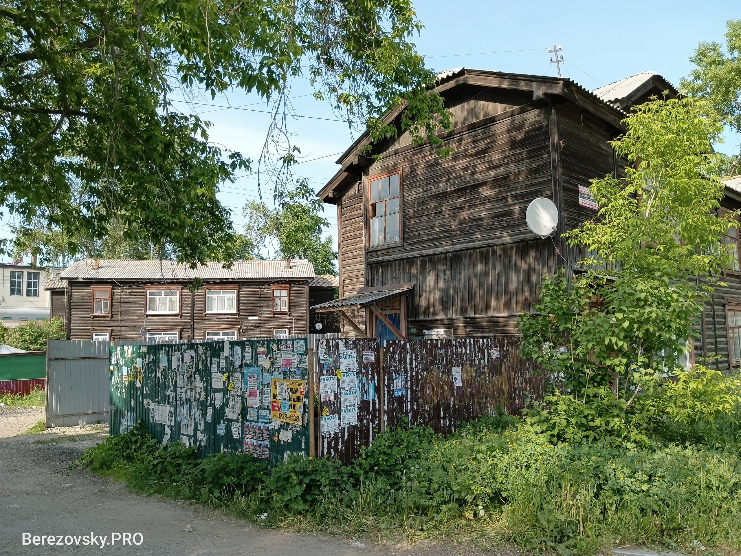 Солнечный. Фотограф в Санкт-Петербурге Березовский Даниил