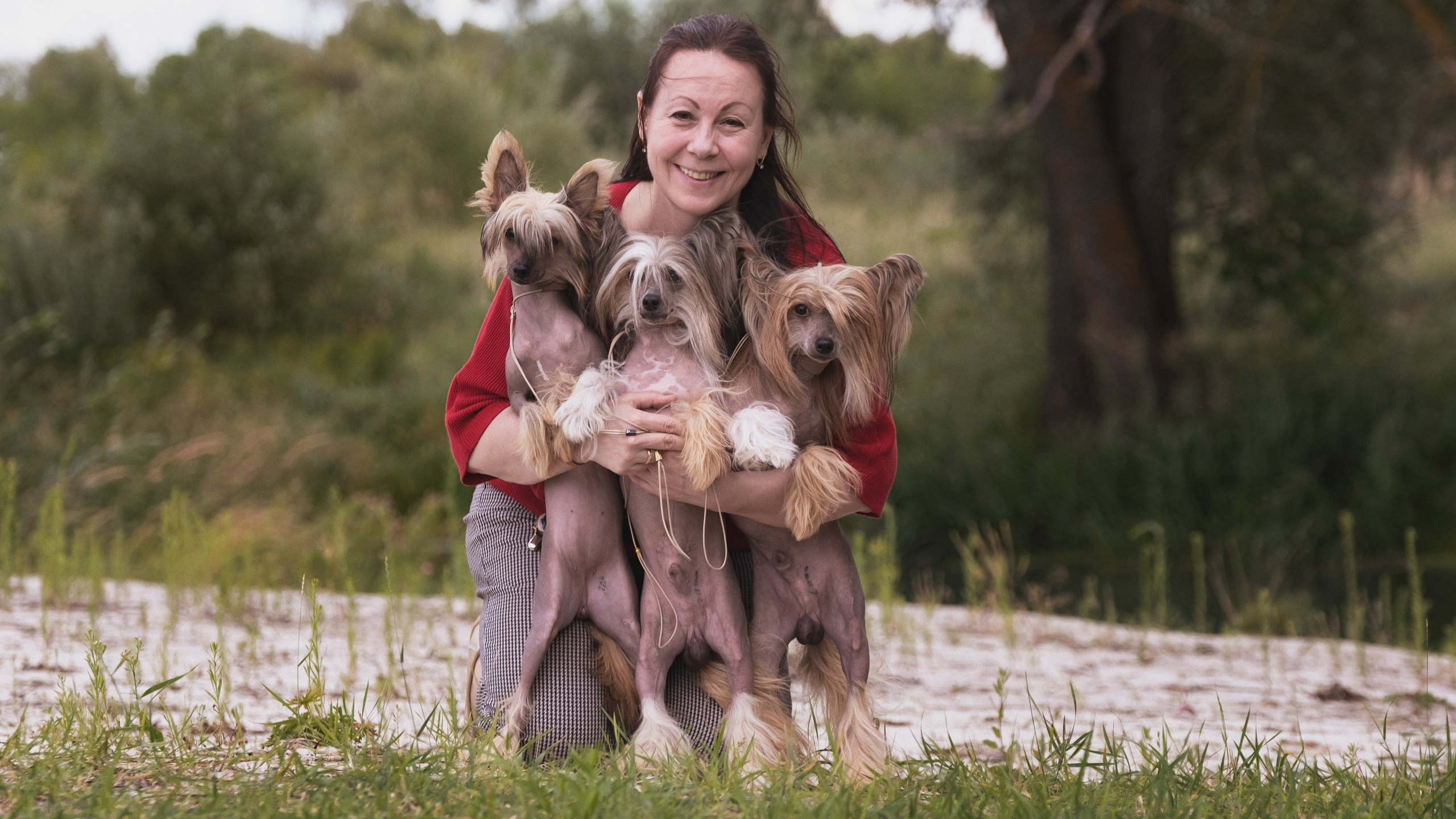Друг человека. Фотограф в Москве