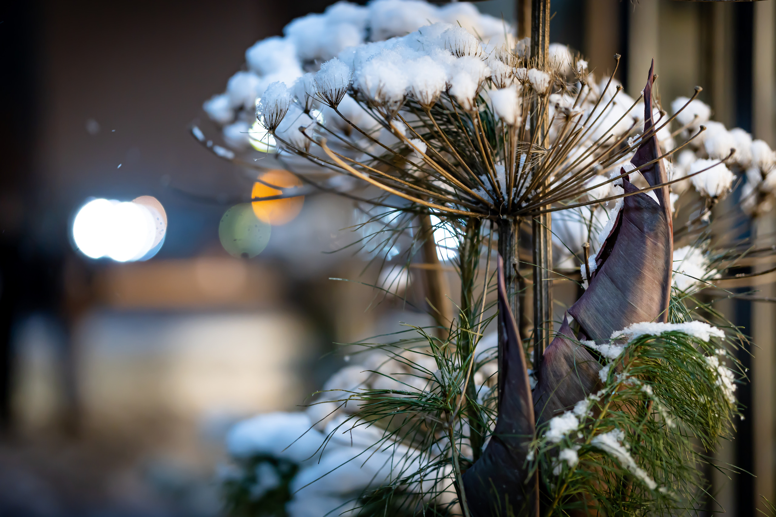 Зиларт зимой