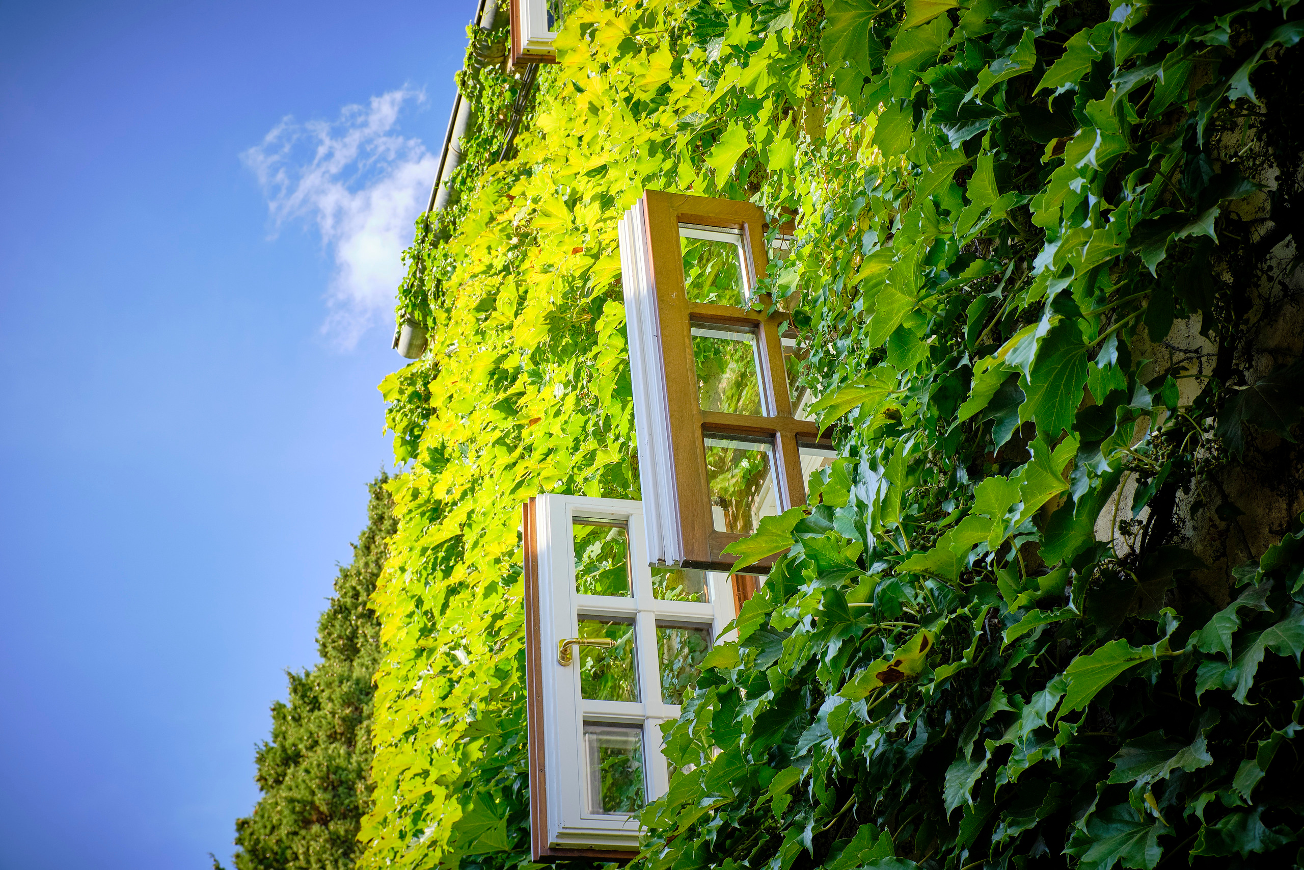 Сен-Поль-де-Ванс