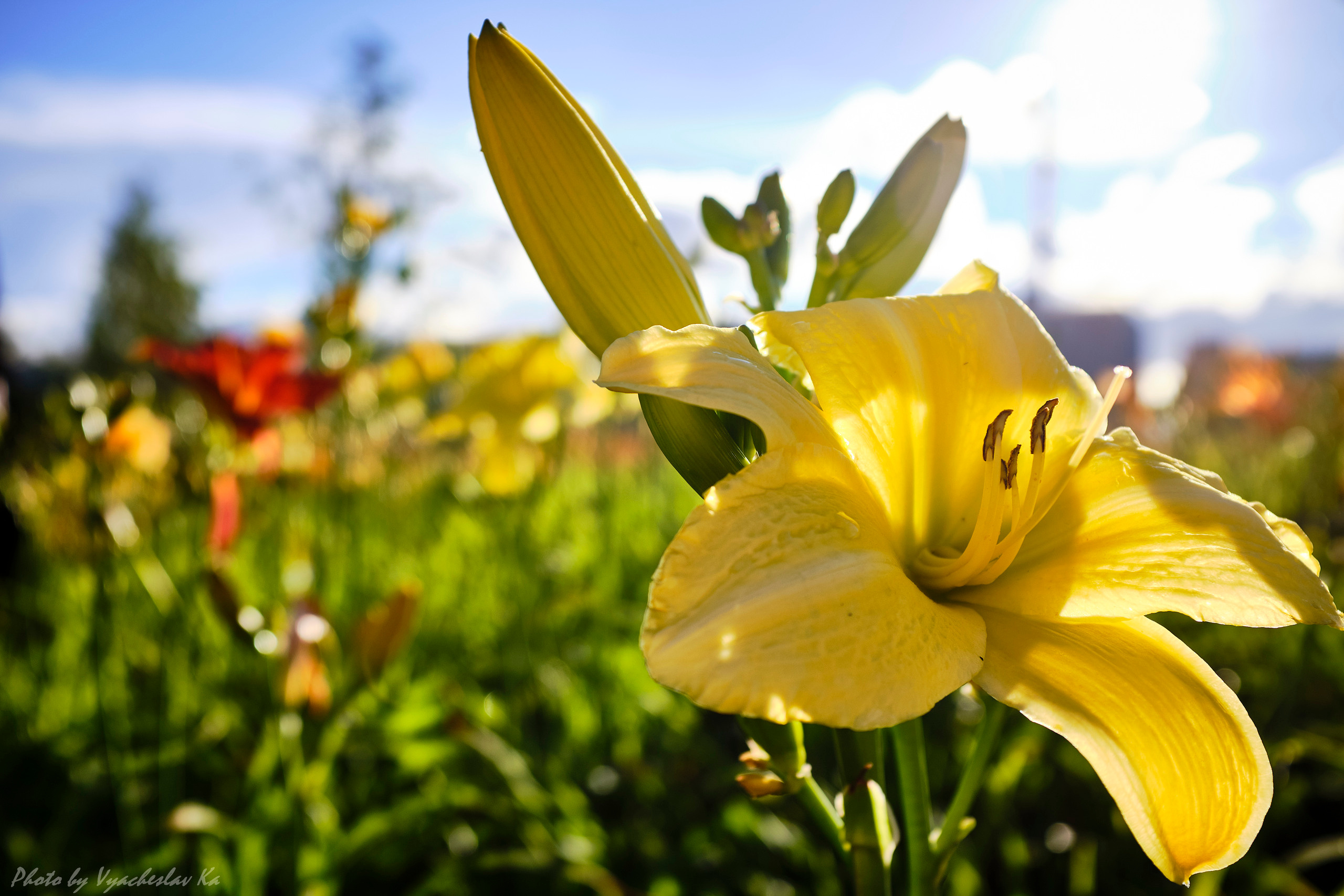 Парк Тюфелева роща