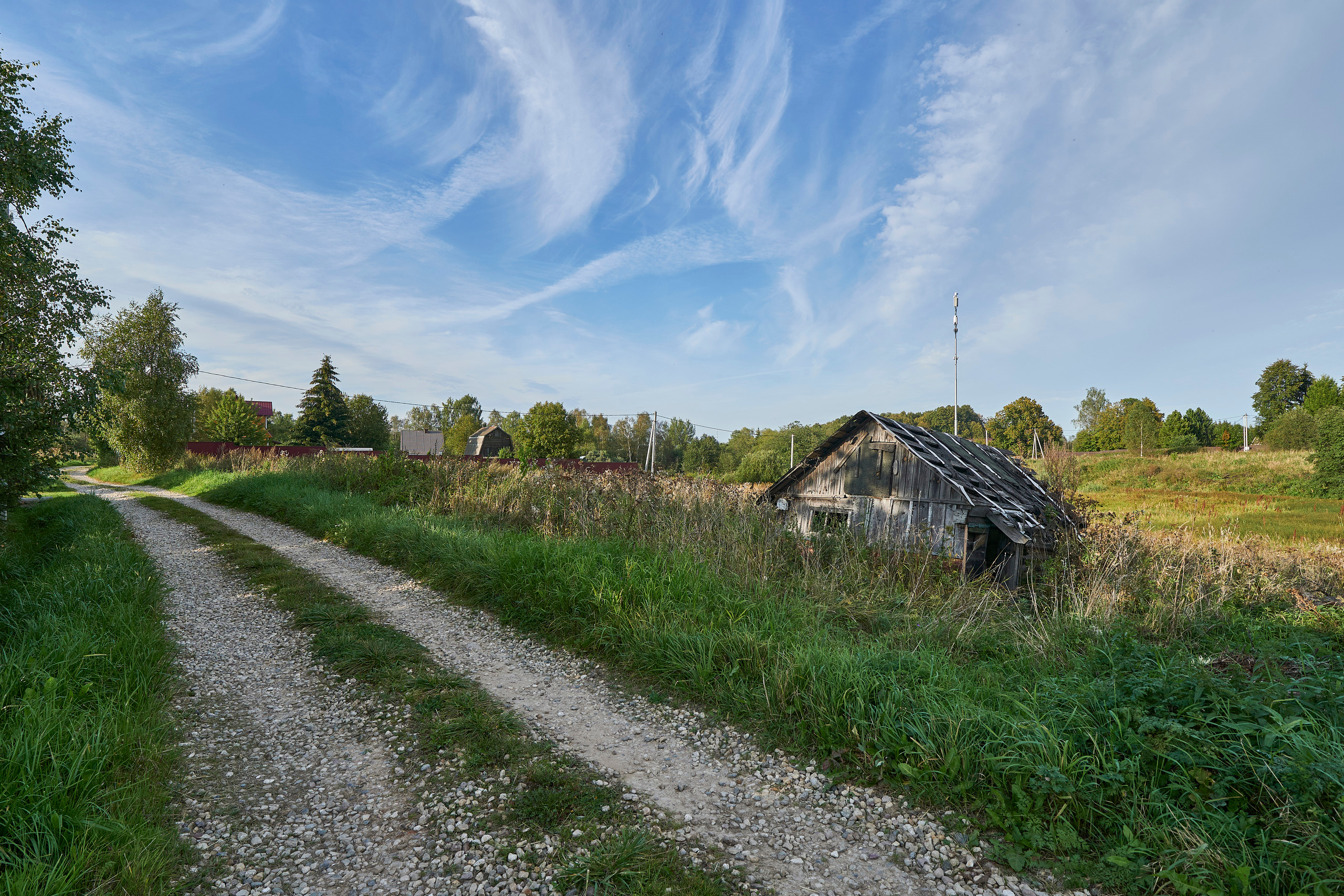Деревенский пейзаж