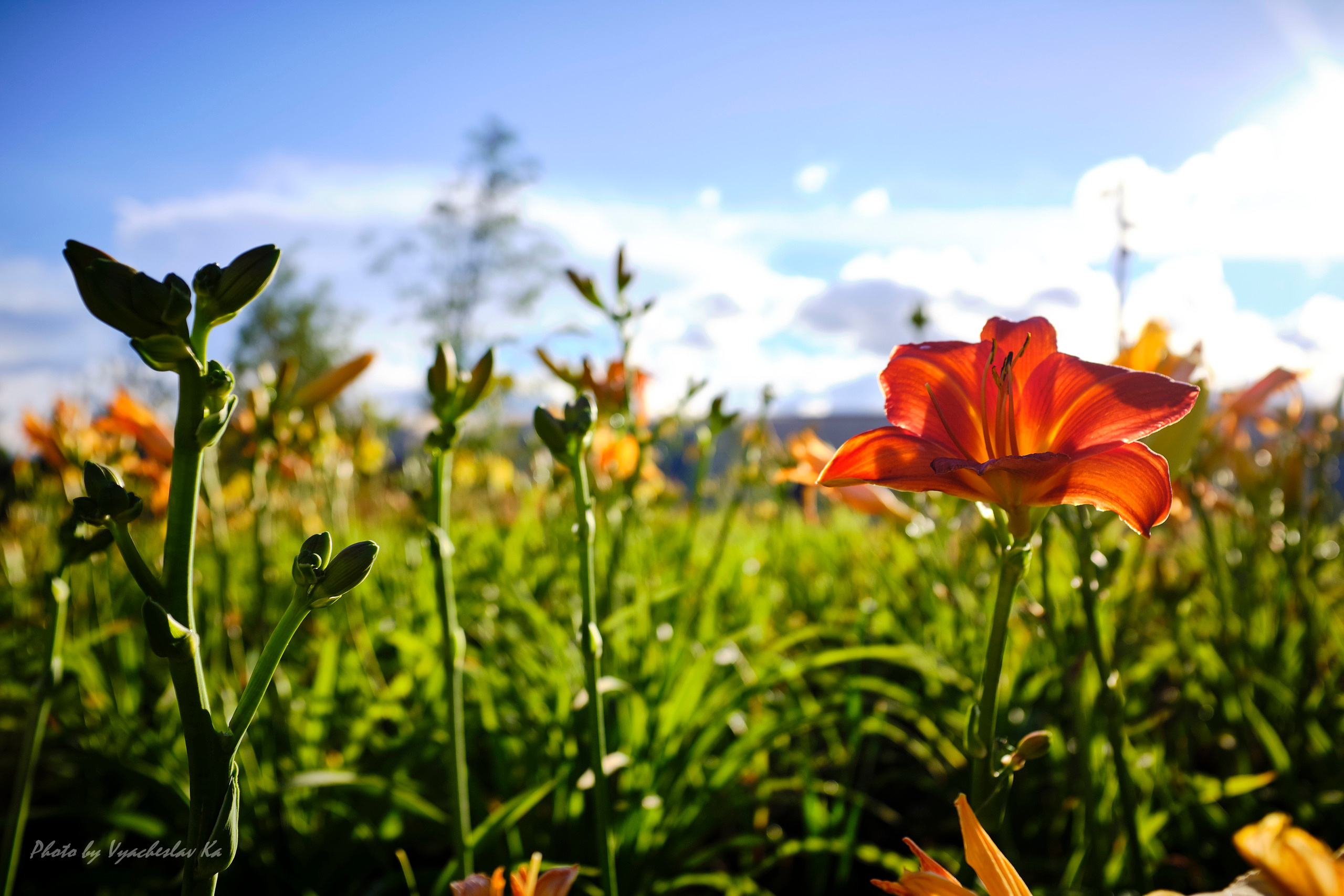 Парк Тюфелева роща