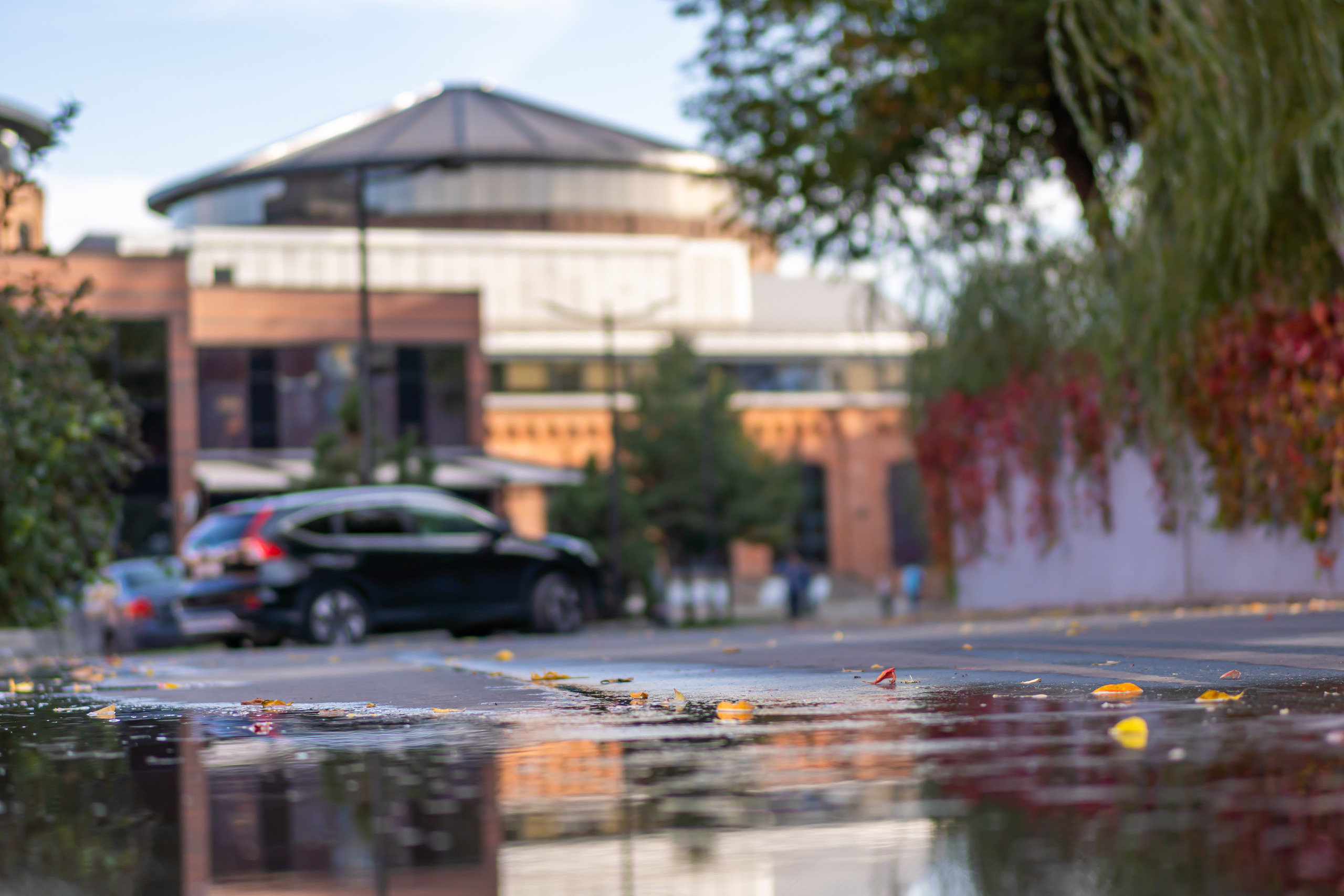 Арма после дождя