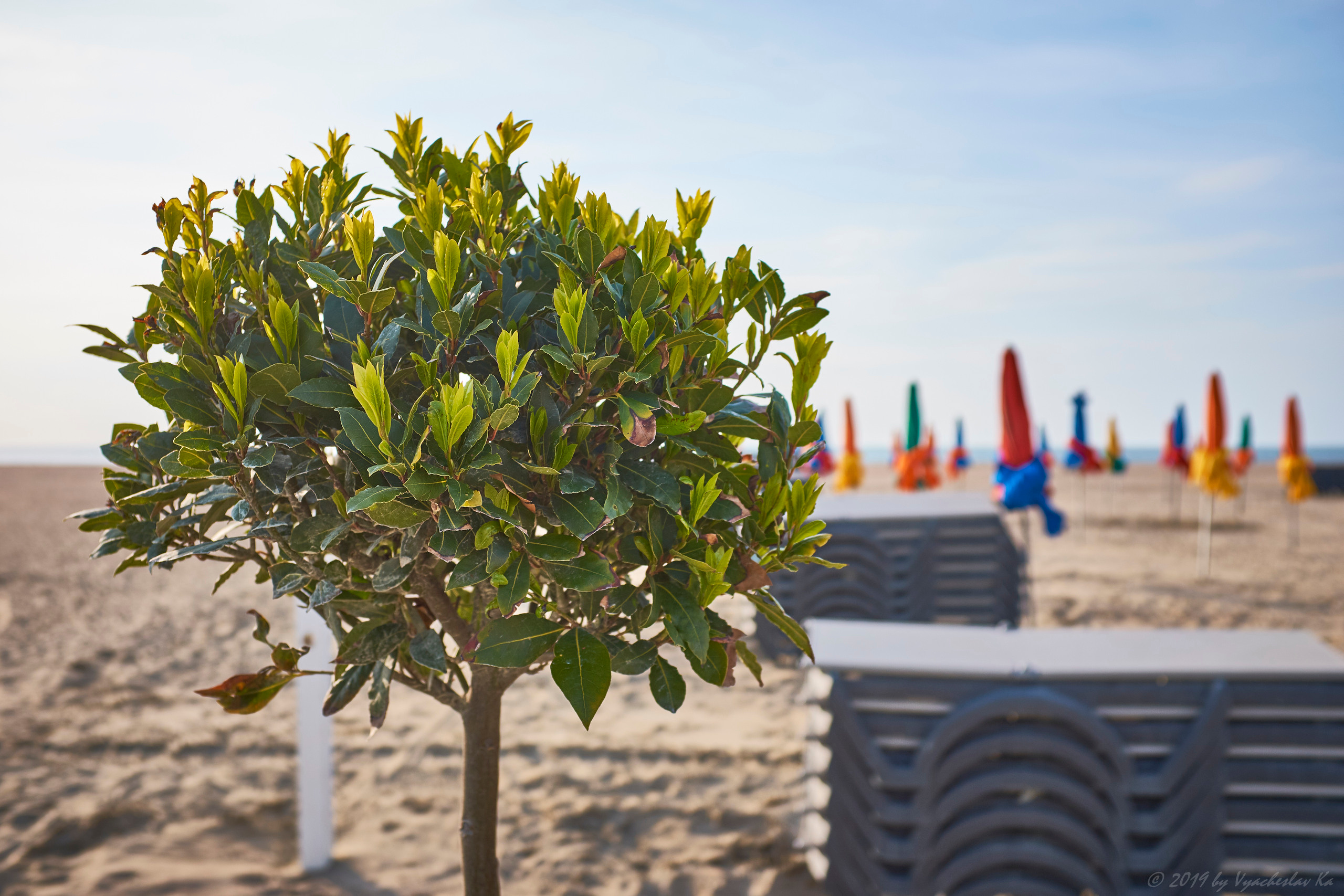 Трувиль, Нормандия