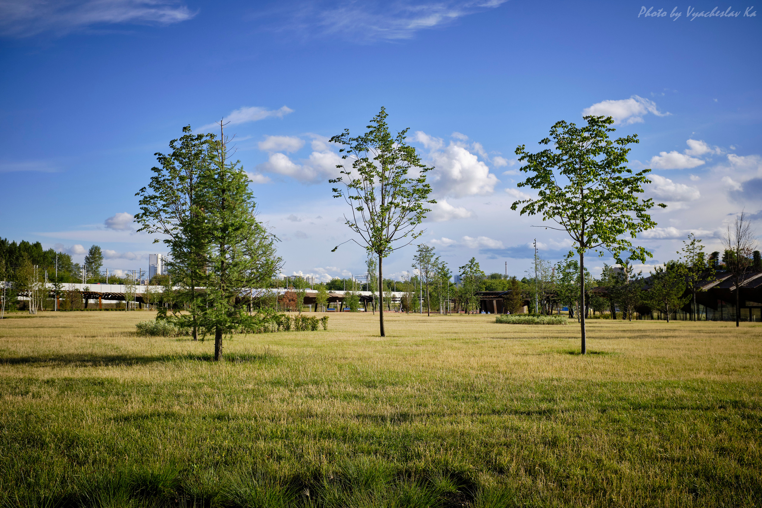 Парк Тюфелева роща