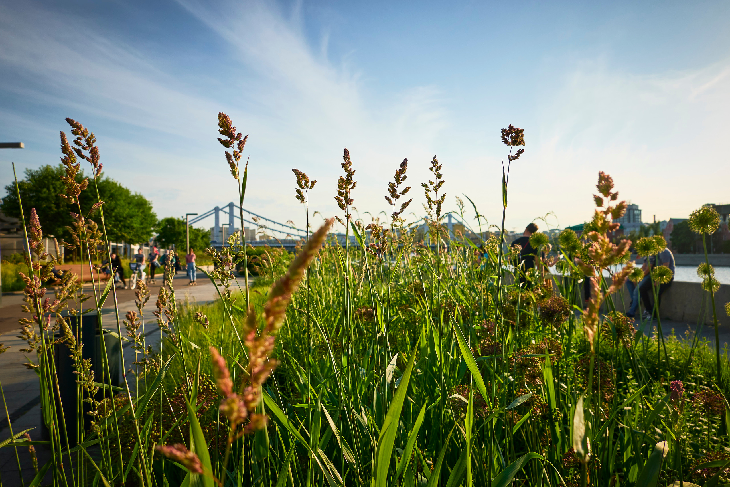 Парк Горького