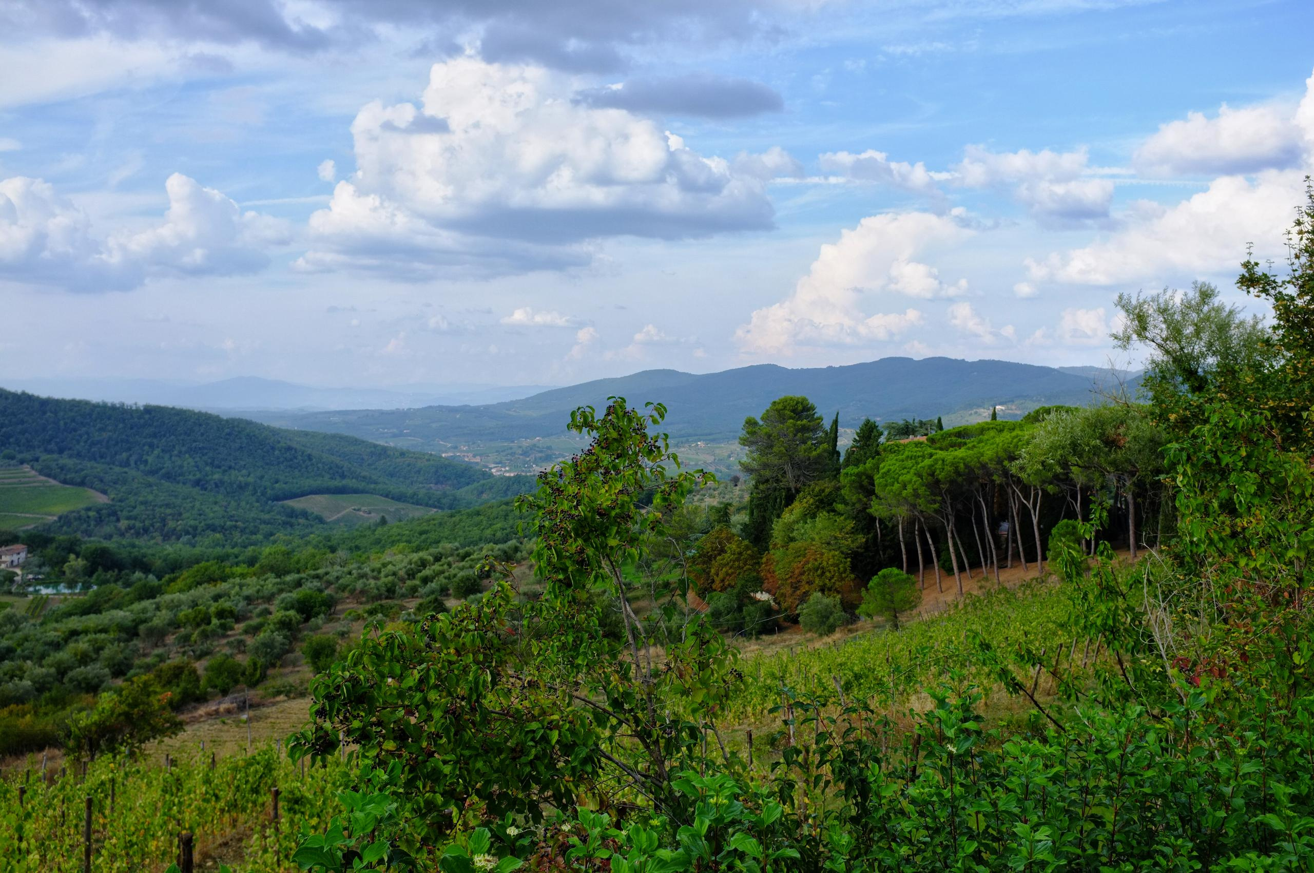 La Compagnia del Chianti