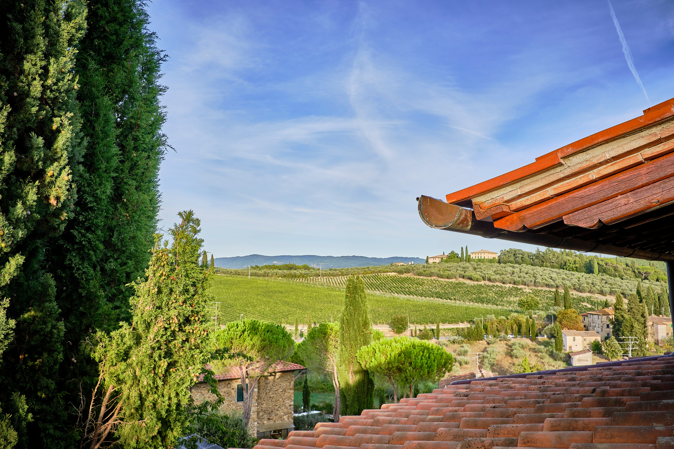 La Compagnia del Chianti