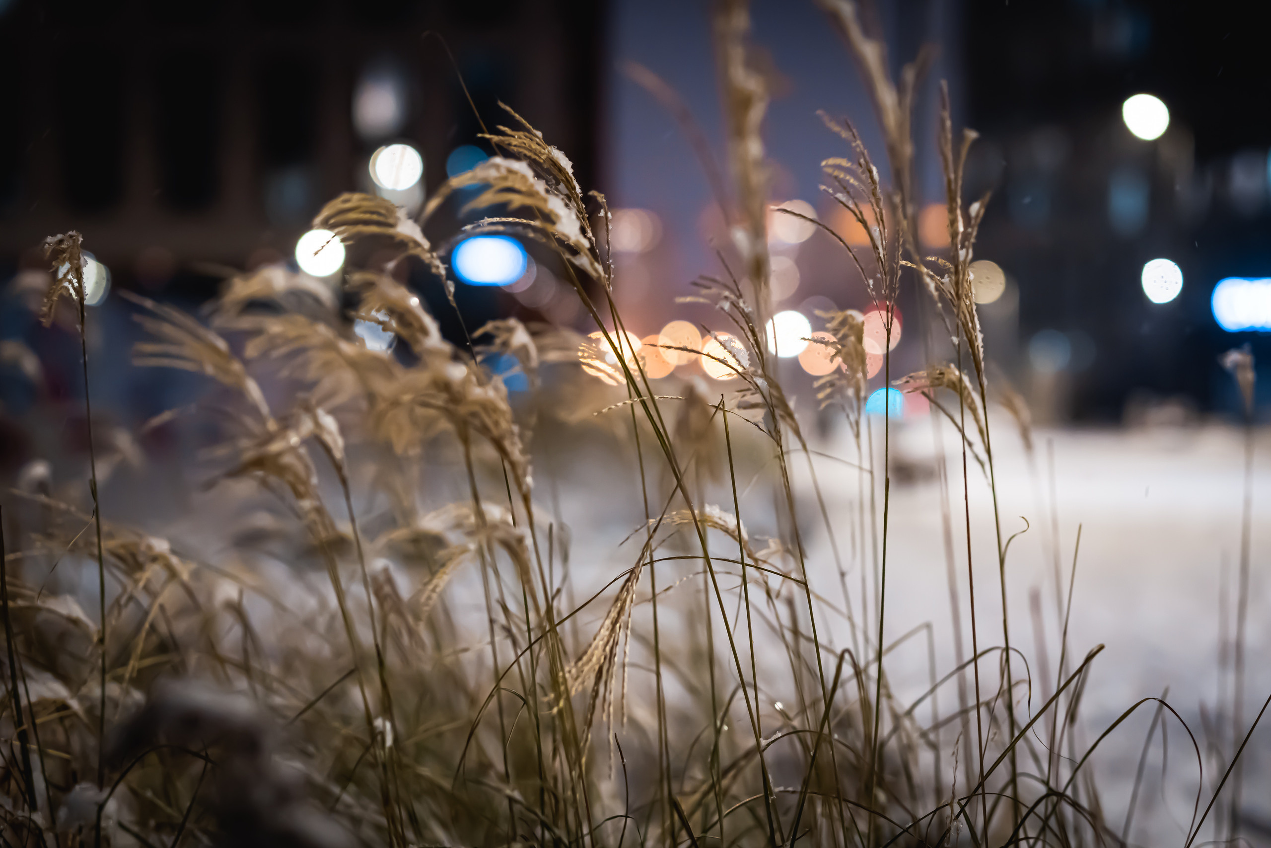 Зиларт зимой