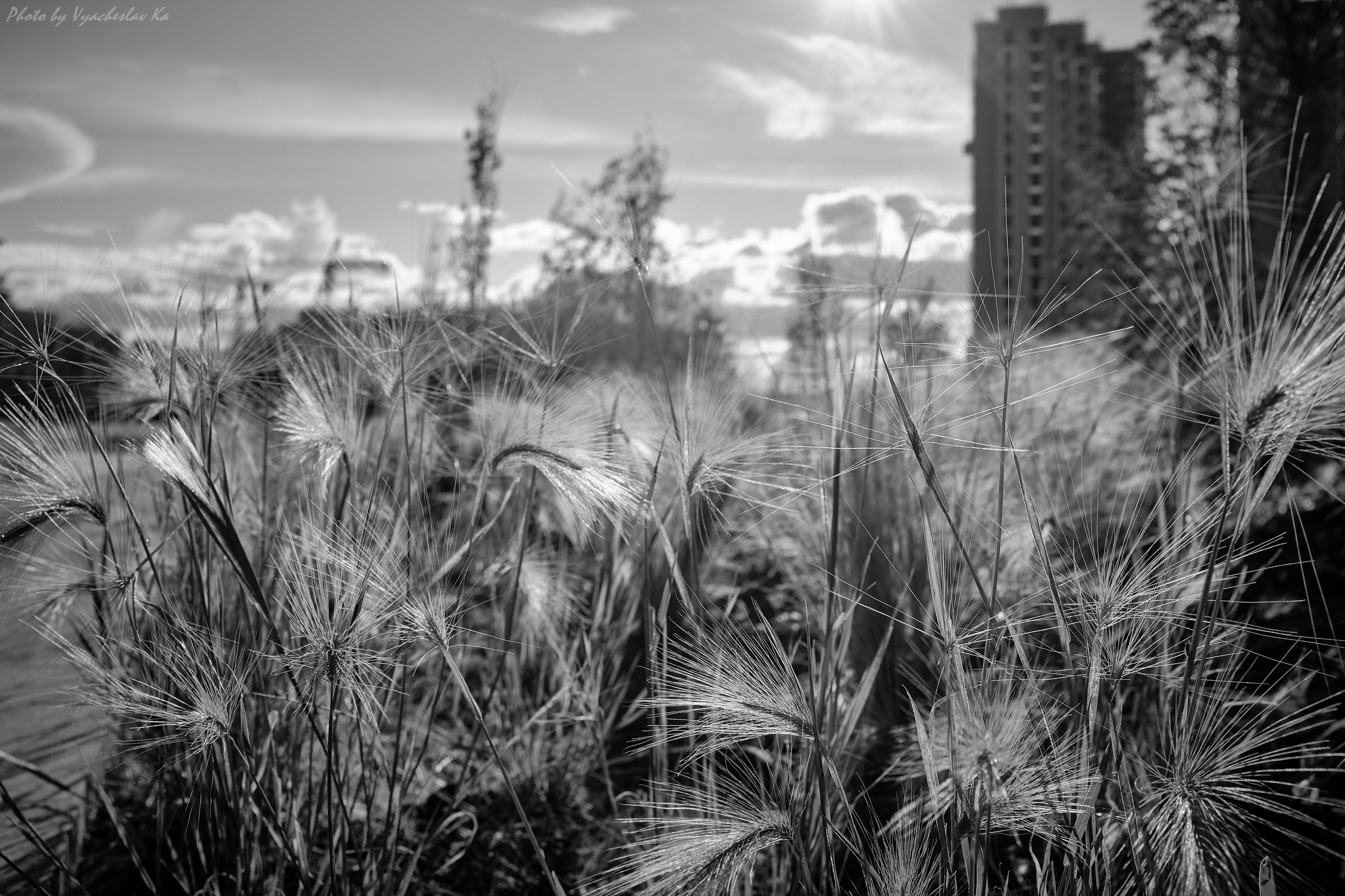 Парк Тюфелева роща