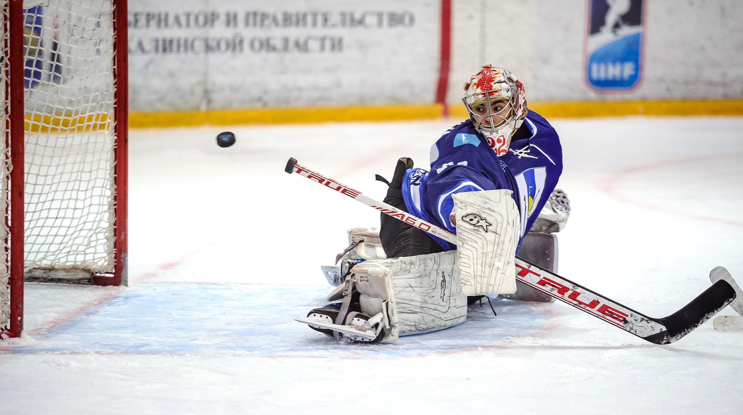 СПОРТ. Фотограф СОТНИК ВЛАДИМИР