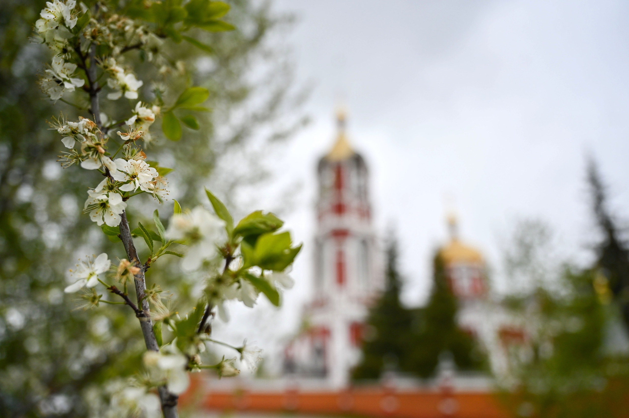 Крещение Тимофея. Семейный фотограф в г. Воскресенск Наталия Молева