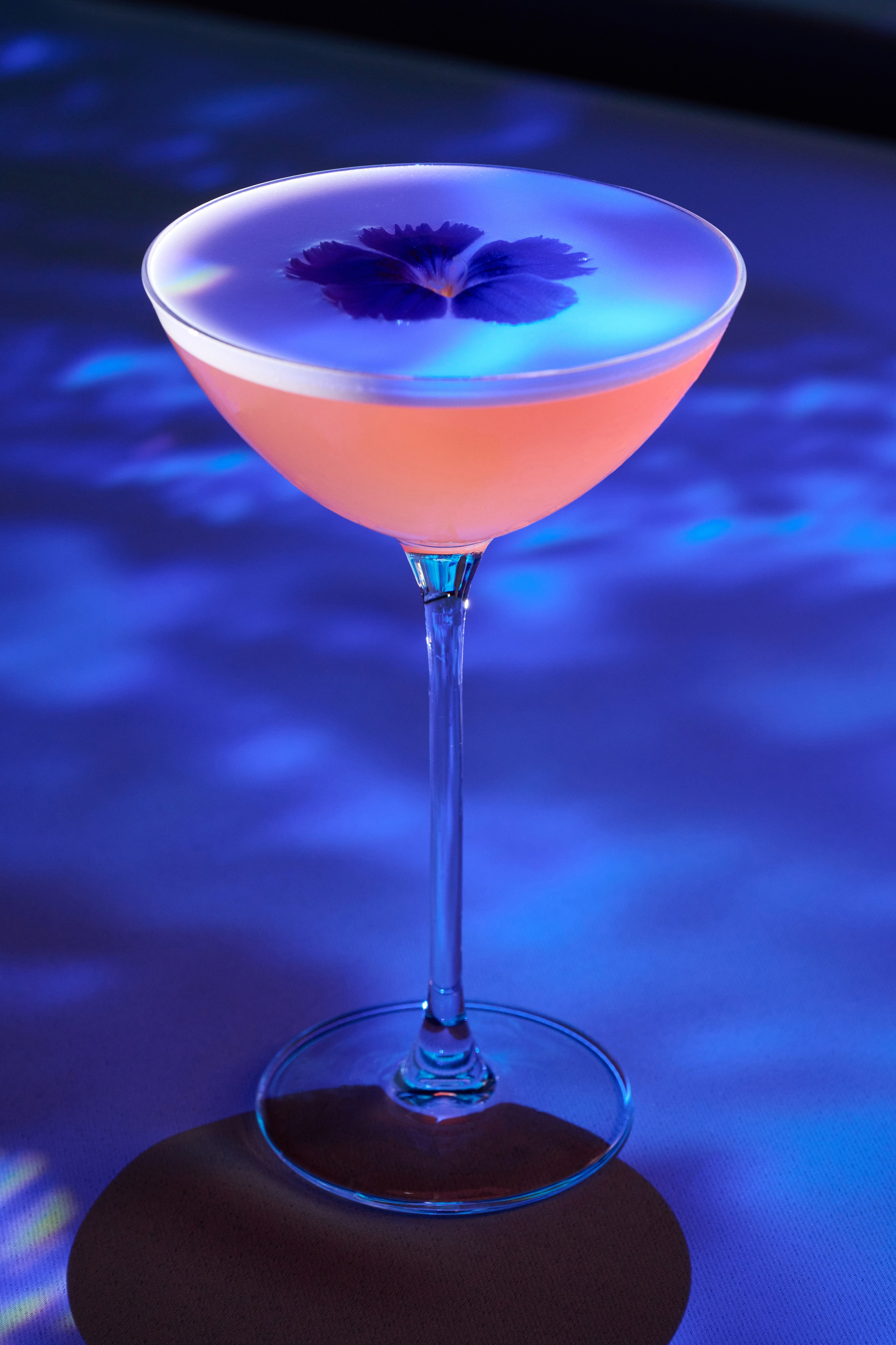 Портфолио. Предметный съёмка для маркетплейсов в Москве