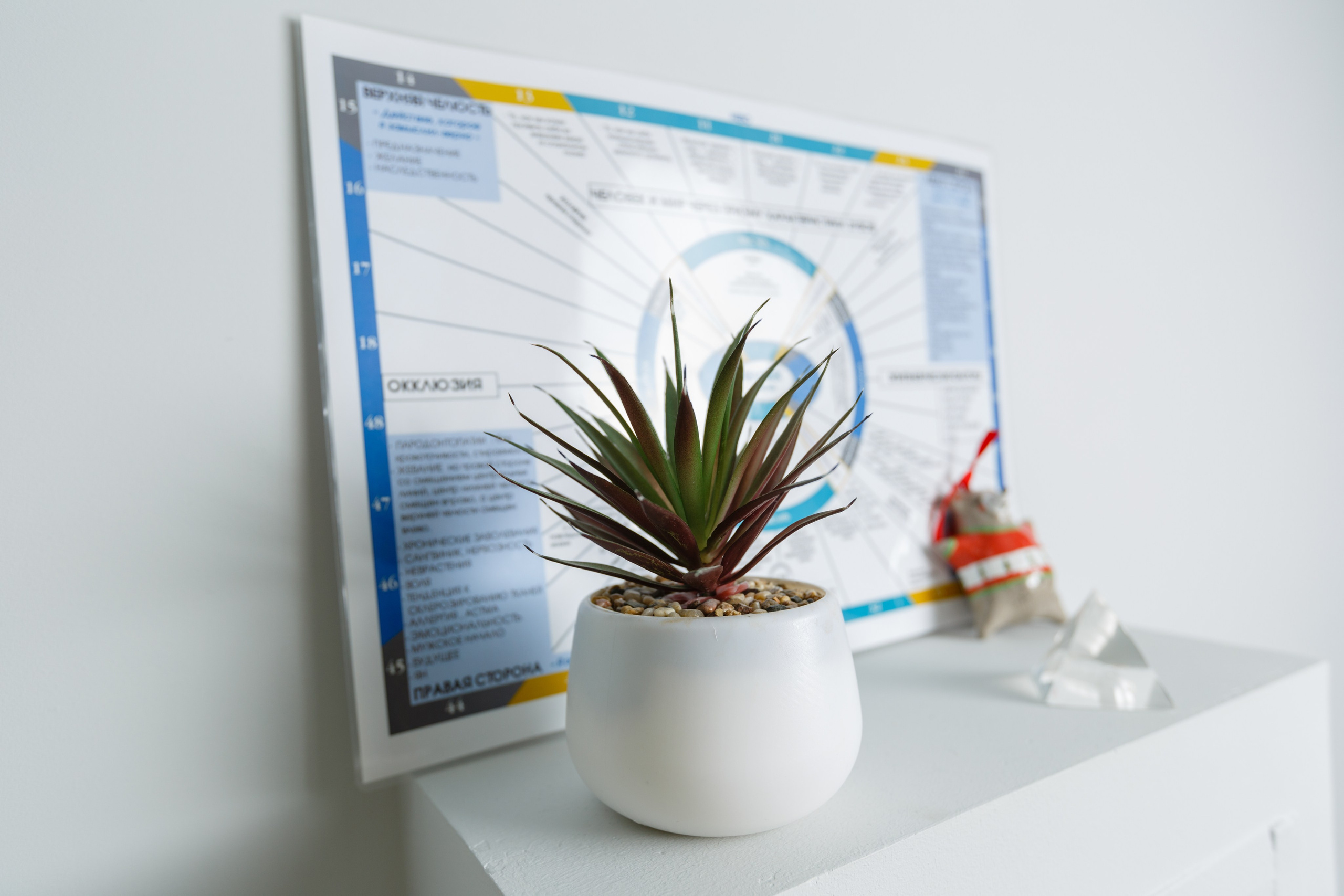 NITA СТОМАТОЛОГИЯ. Выпускные альбомы Красноярск