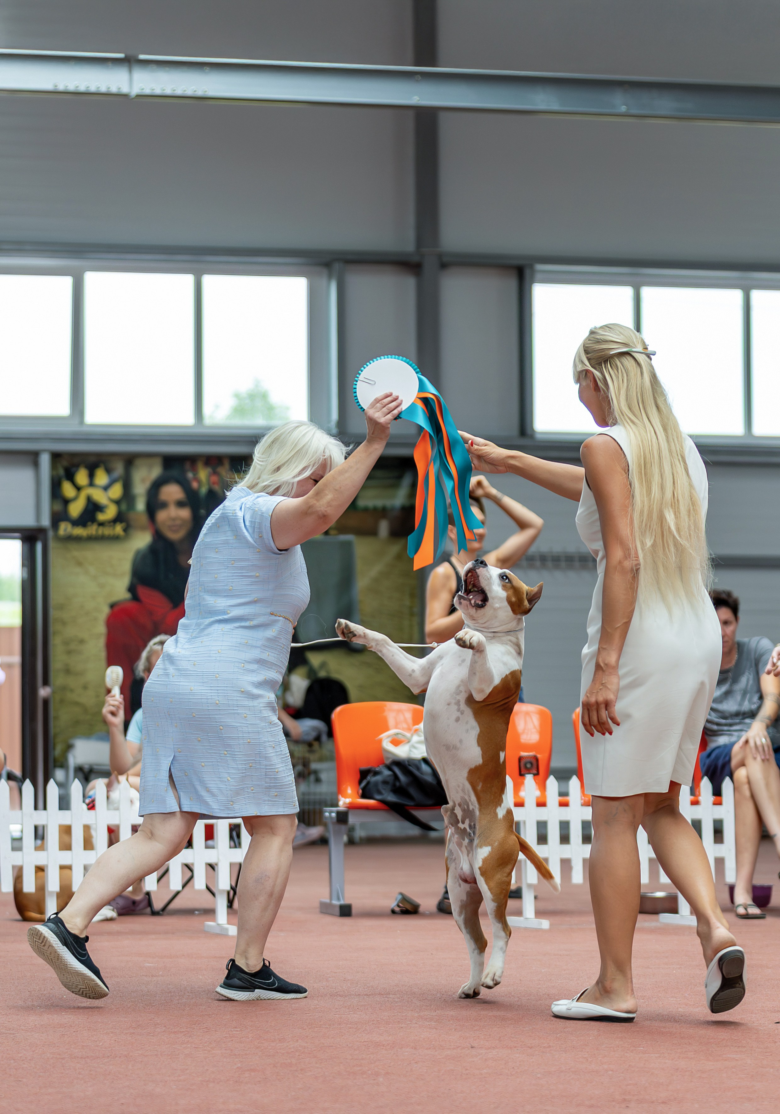 Съемка на выставках. Фотограф-анималист в Санкт-Петербурге — Юлия Чайкина