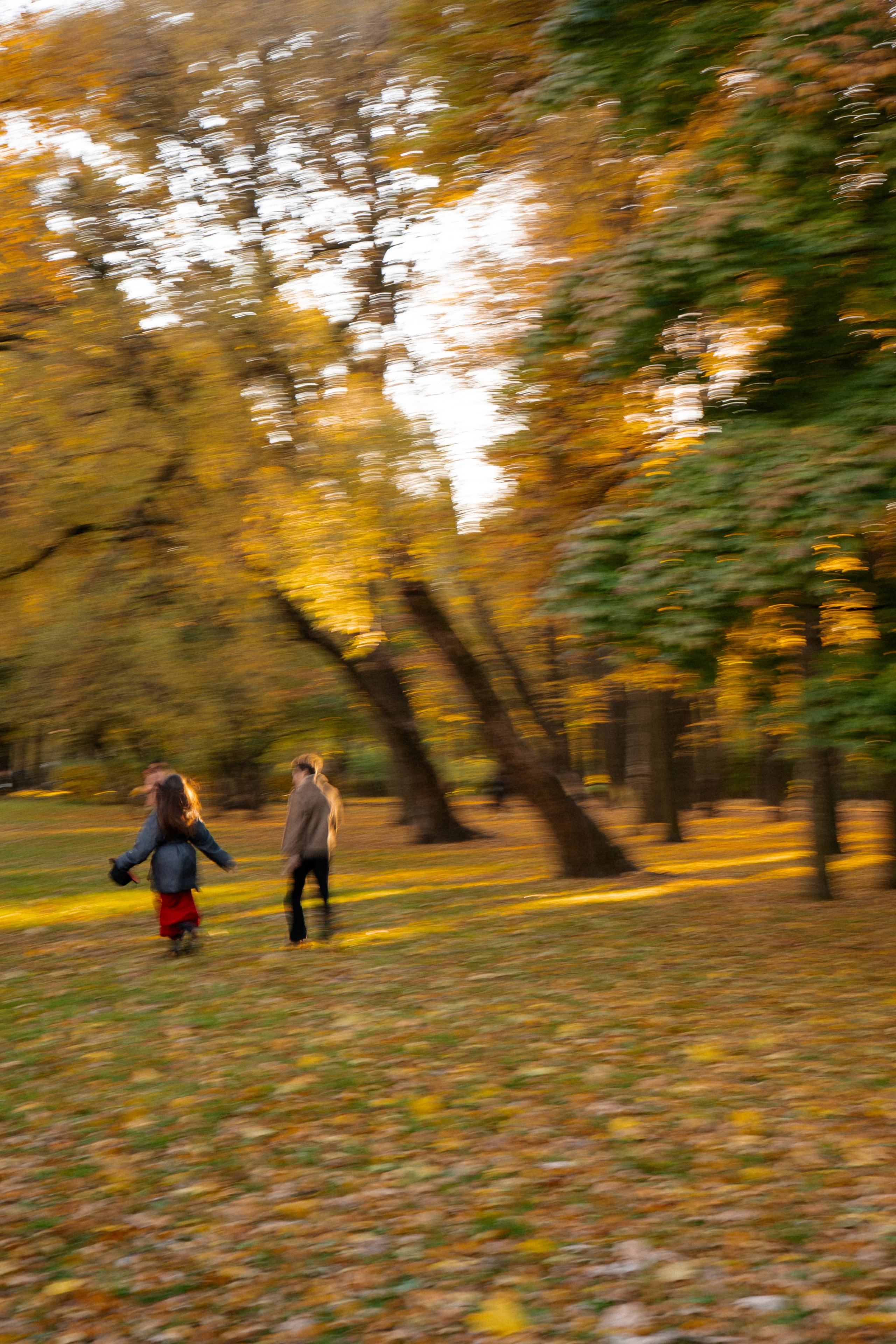 ОСЕННЯЯ ПРОГУЛКА. Профессиональный фотограф, Санкт-Петербург — Виктория Богомолова