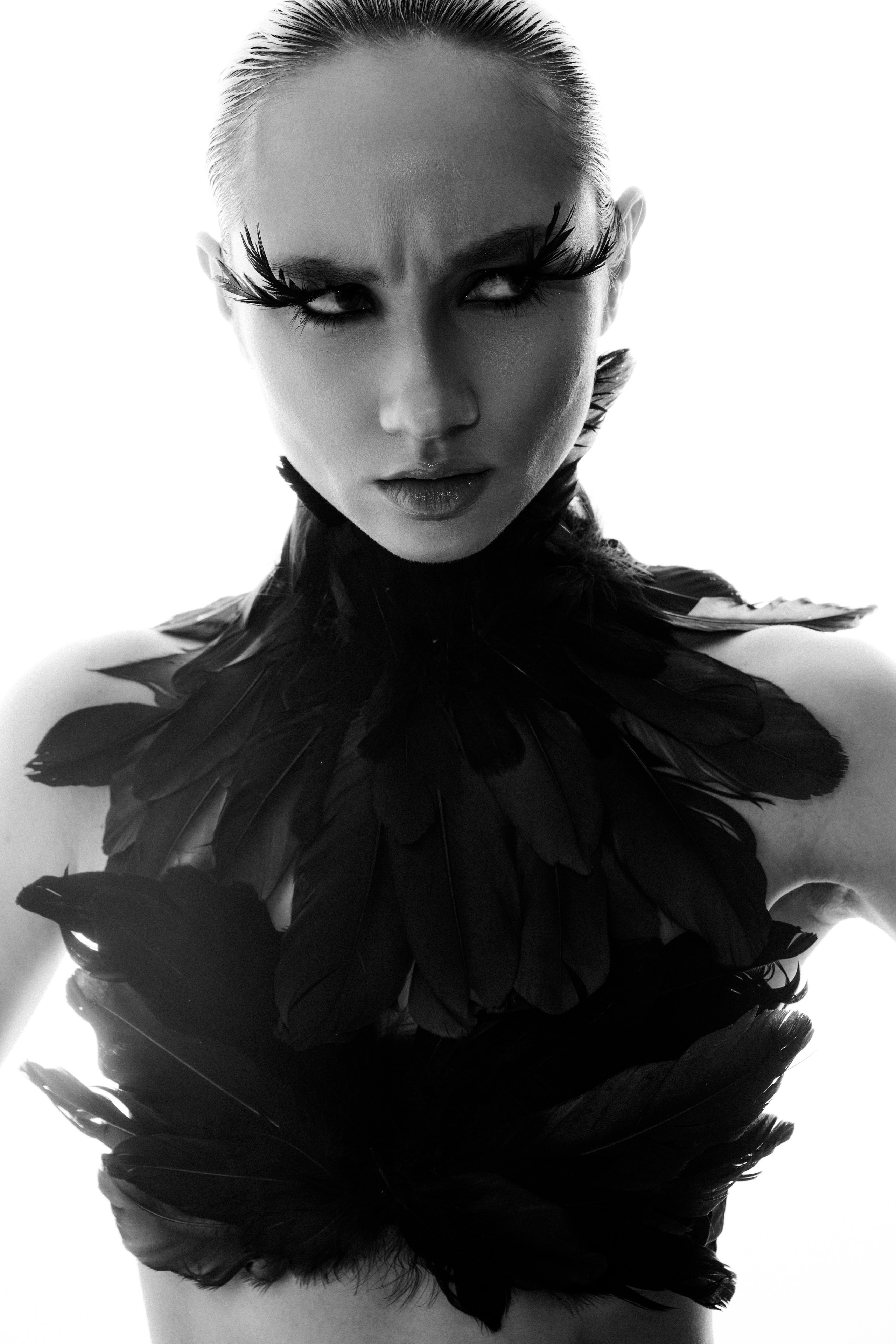 Черный лебедь. Фотограф Санкт-Петербург Лиза Артти