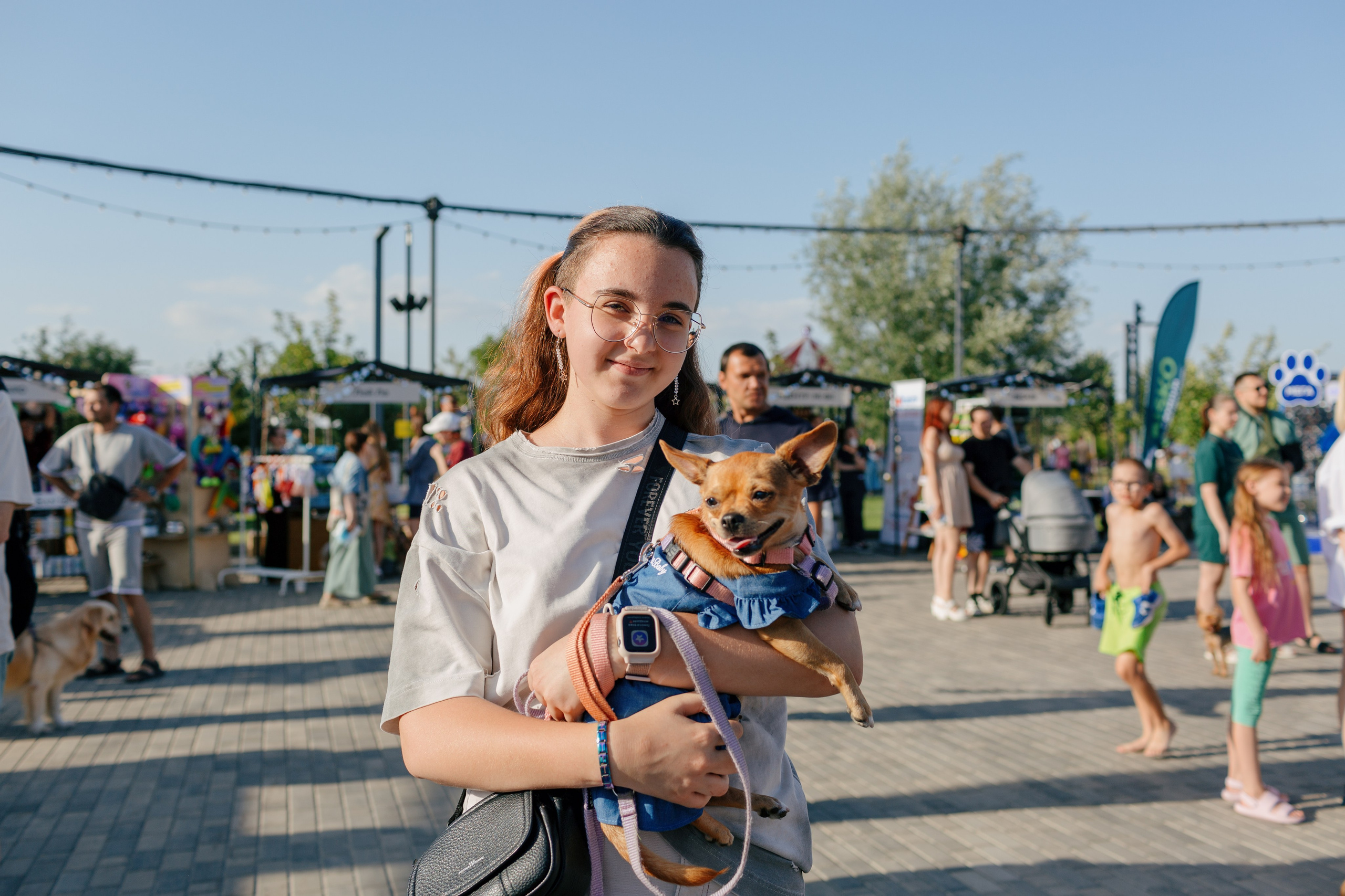 Dog Fest 2024. Главная