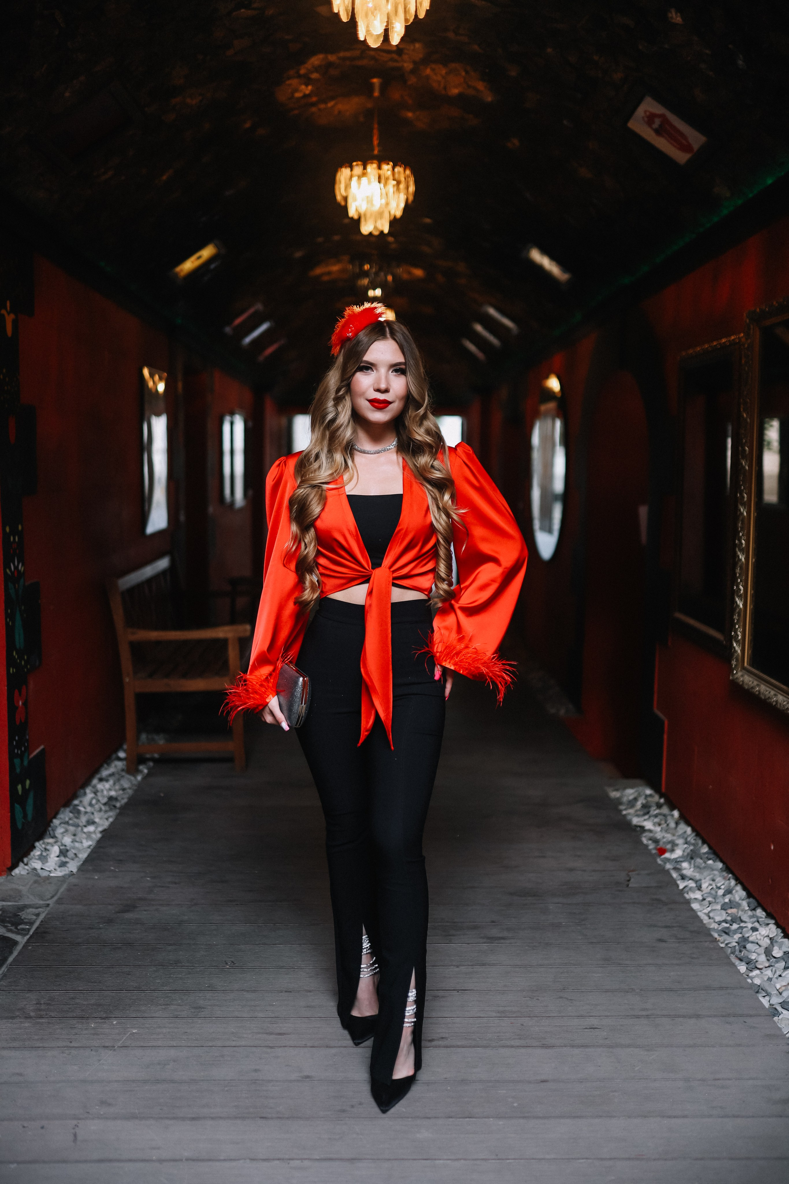 25.Диана и гости