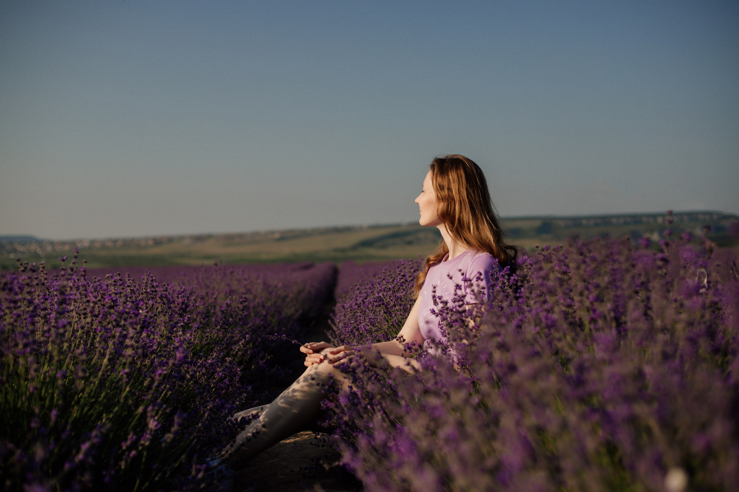 Лаванда. Фотограф и Видеограф Севастополь Крым