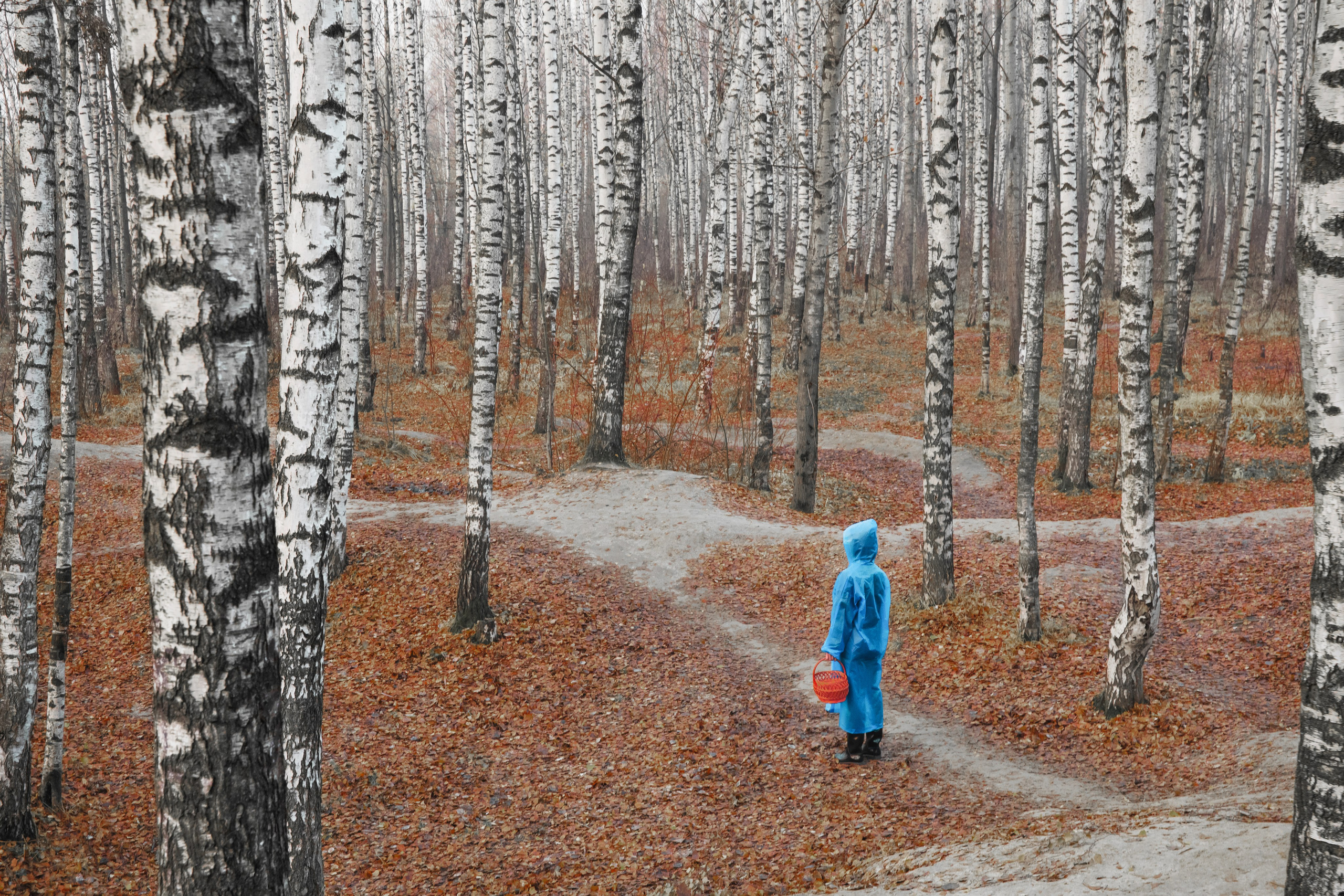 Фотограф в Санкт-Петербурге Александра Багдасаева