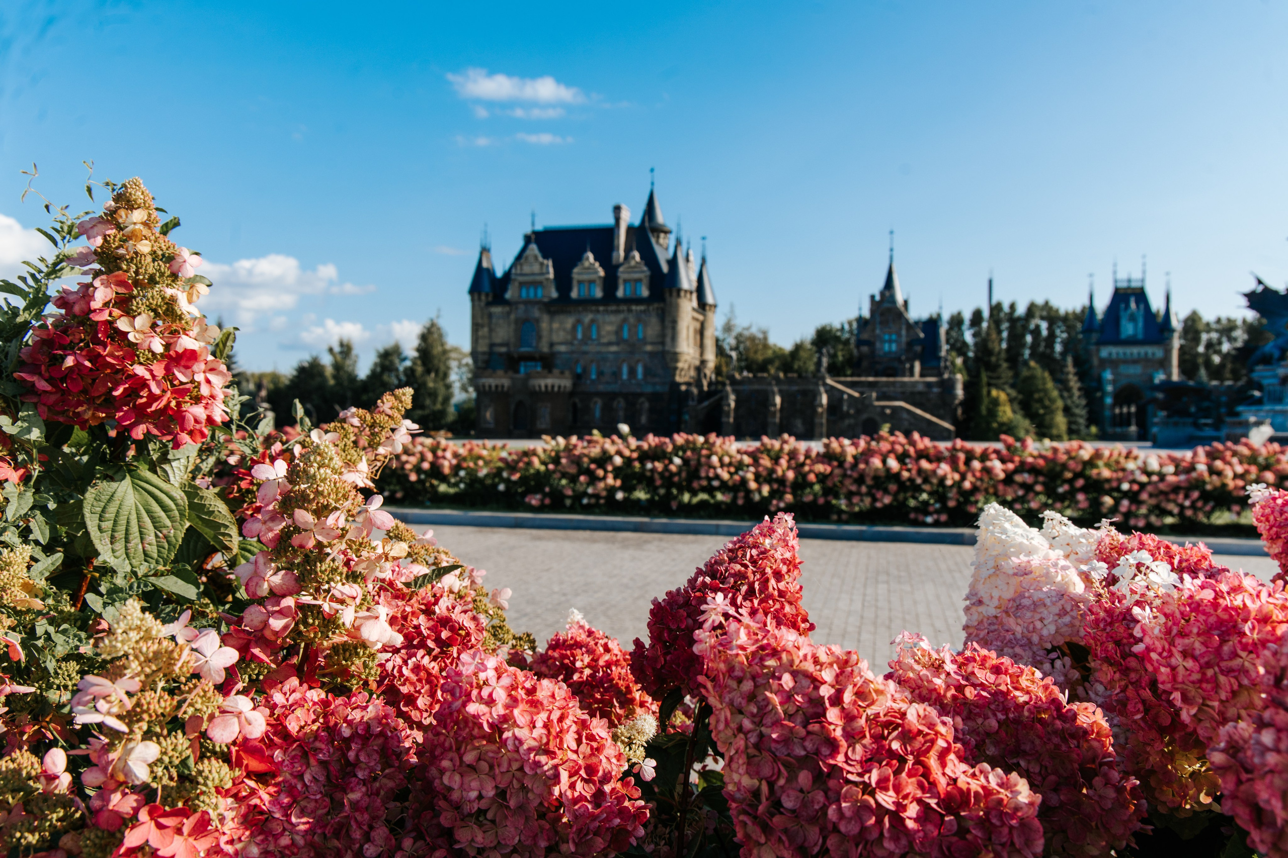 Всеволод и Нина. Измайлова Ольга. Фотограф в Самаре. Репортаж, бизнес, индивидуальные съёмки