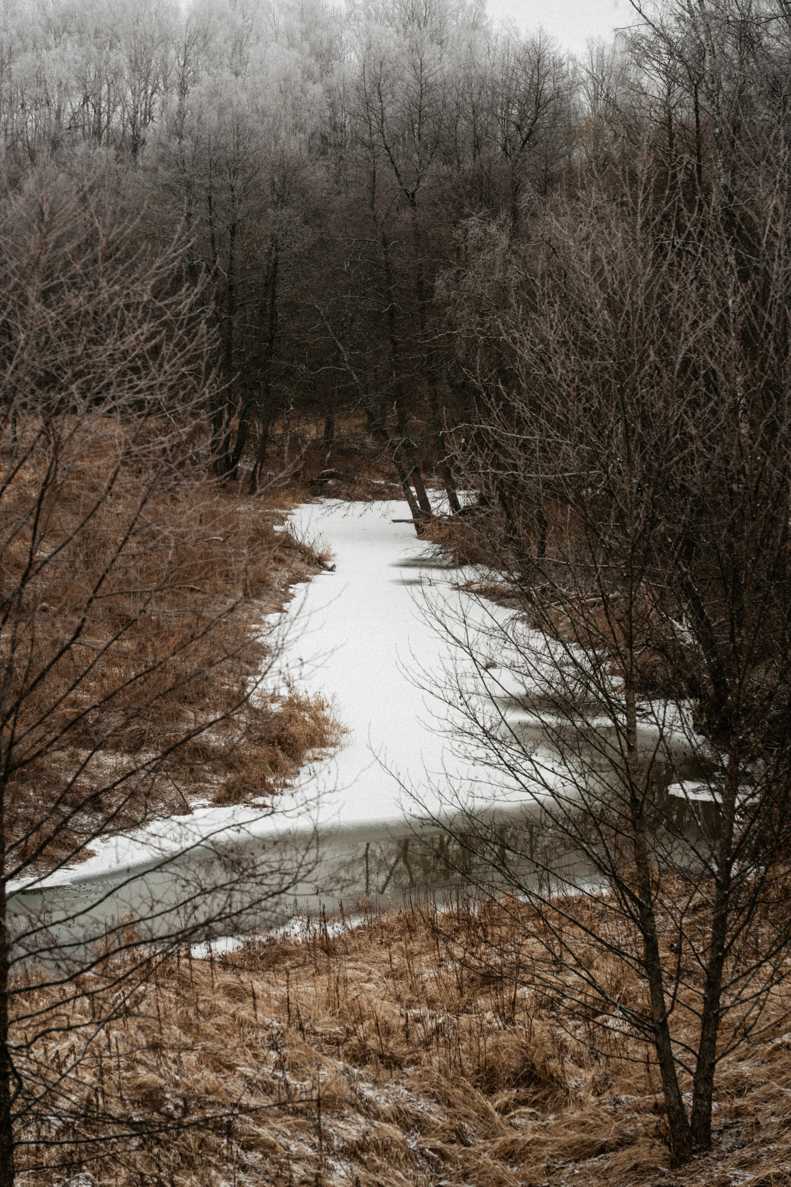 Прогулка по оврагу близ реки. Vlad Trykov