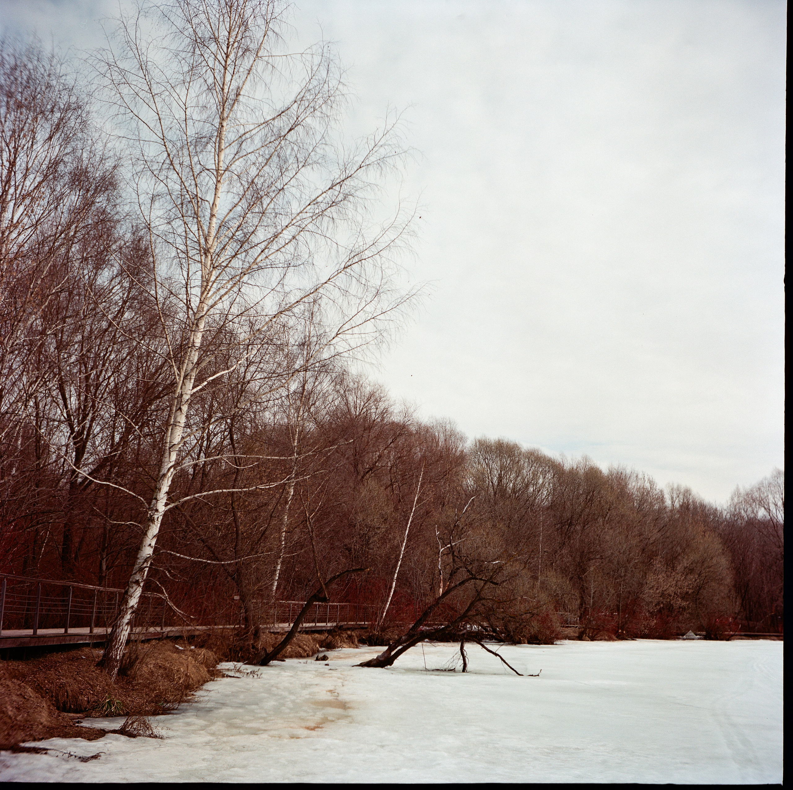 Walzflex с объективом Nitto Kogaku Kominar 75 mm f/3.5 / Aerocolor IV