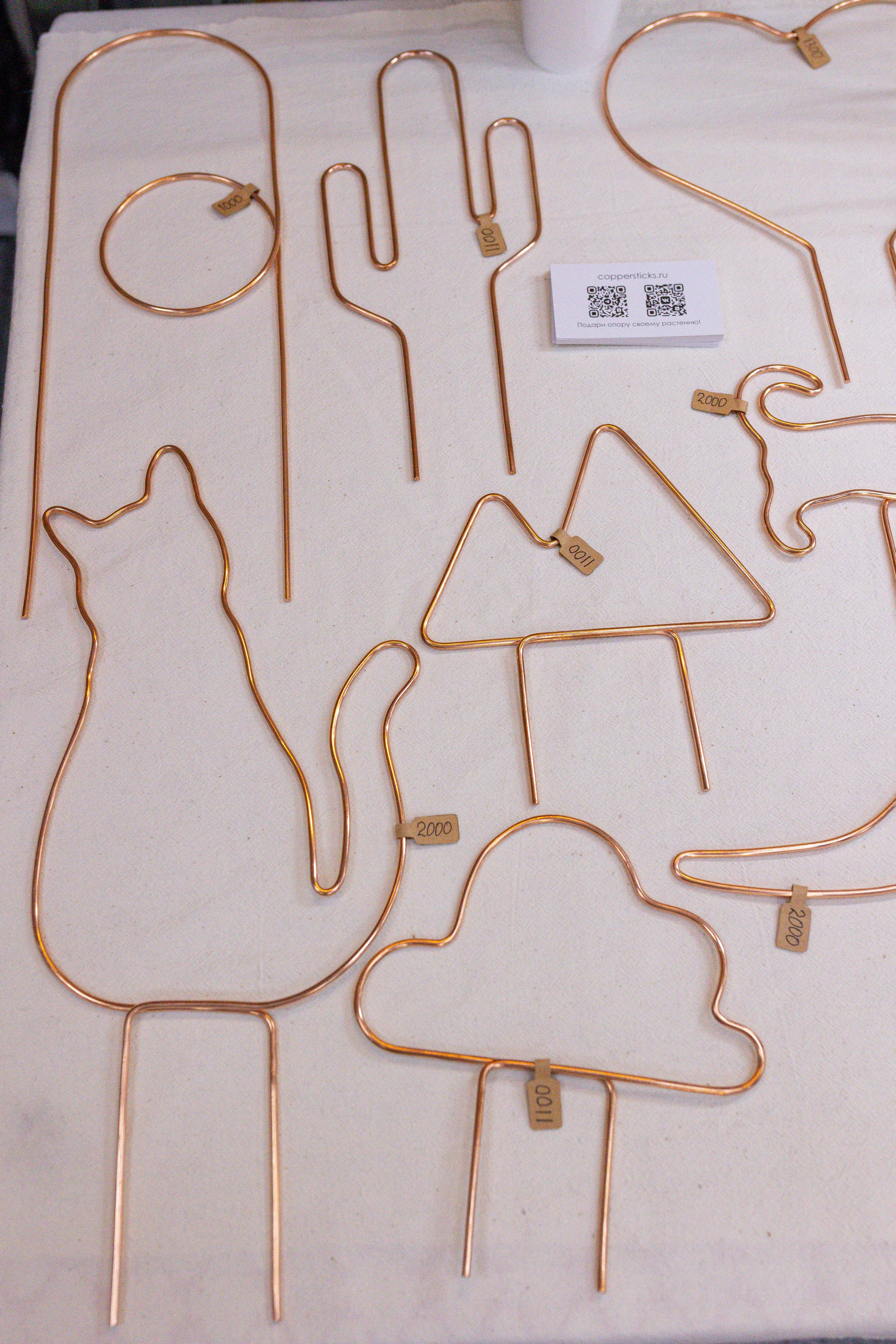 Орхидиум 12.2025. Александра Куликова фотограф, Москва