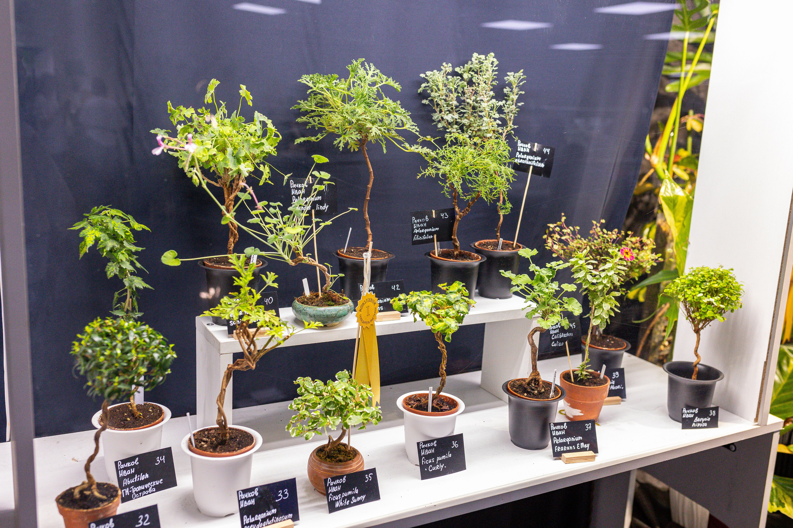 Монстериум 11–12 октября. Александра Куликова фотограф, Москва