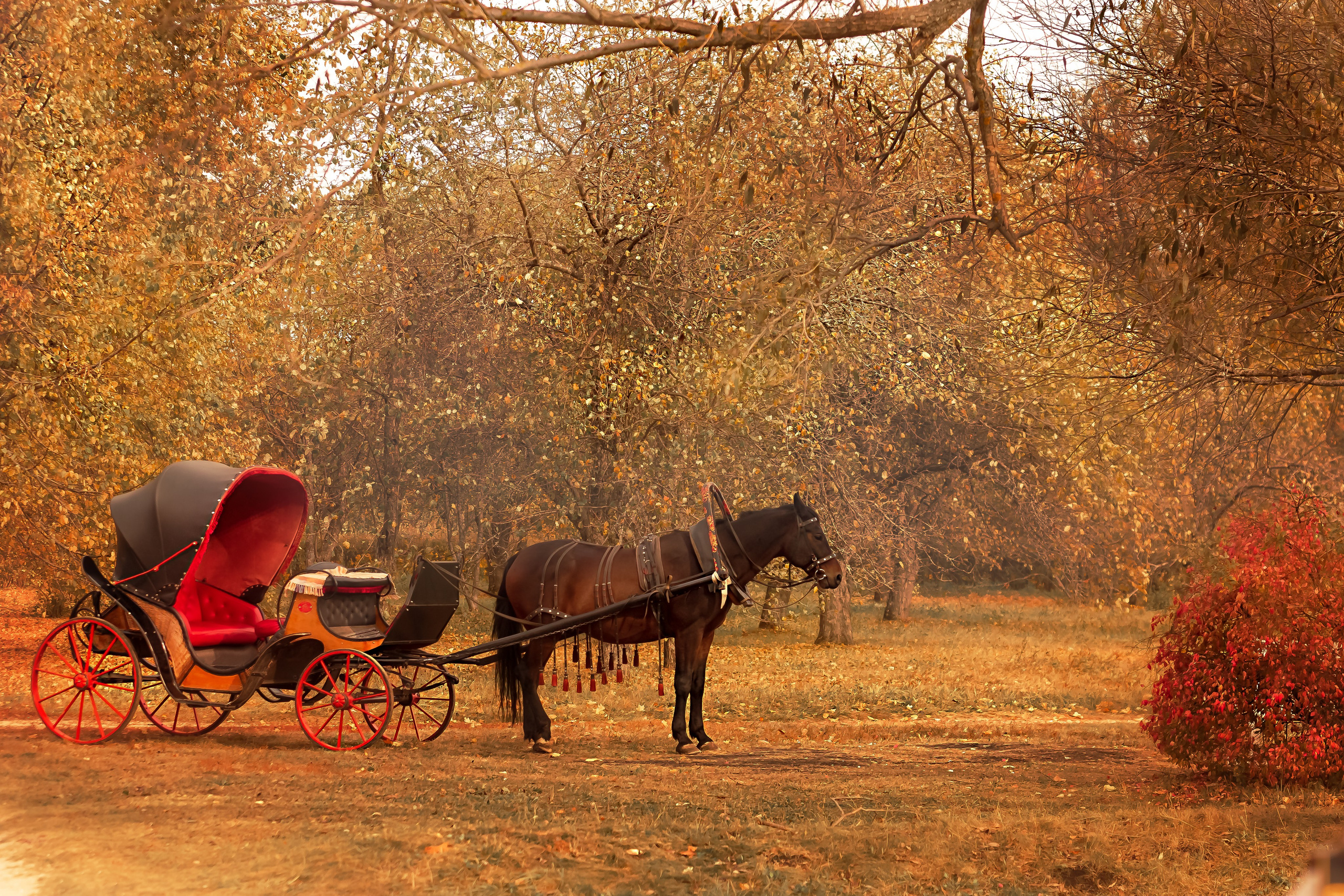 Тарханы. Съемка Таинств Крещения Венчания, детские и семейные съемки в Пензе