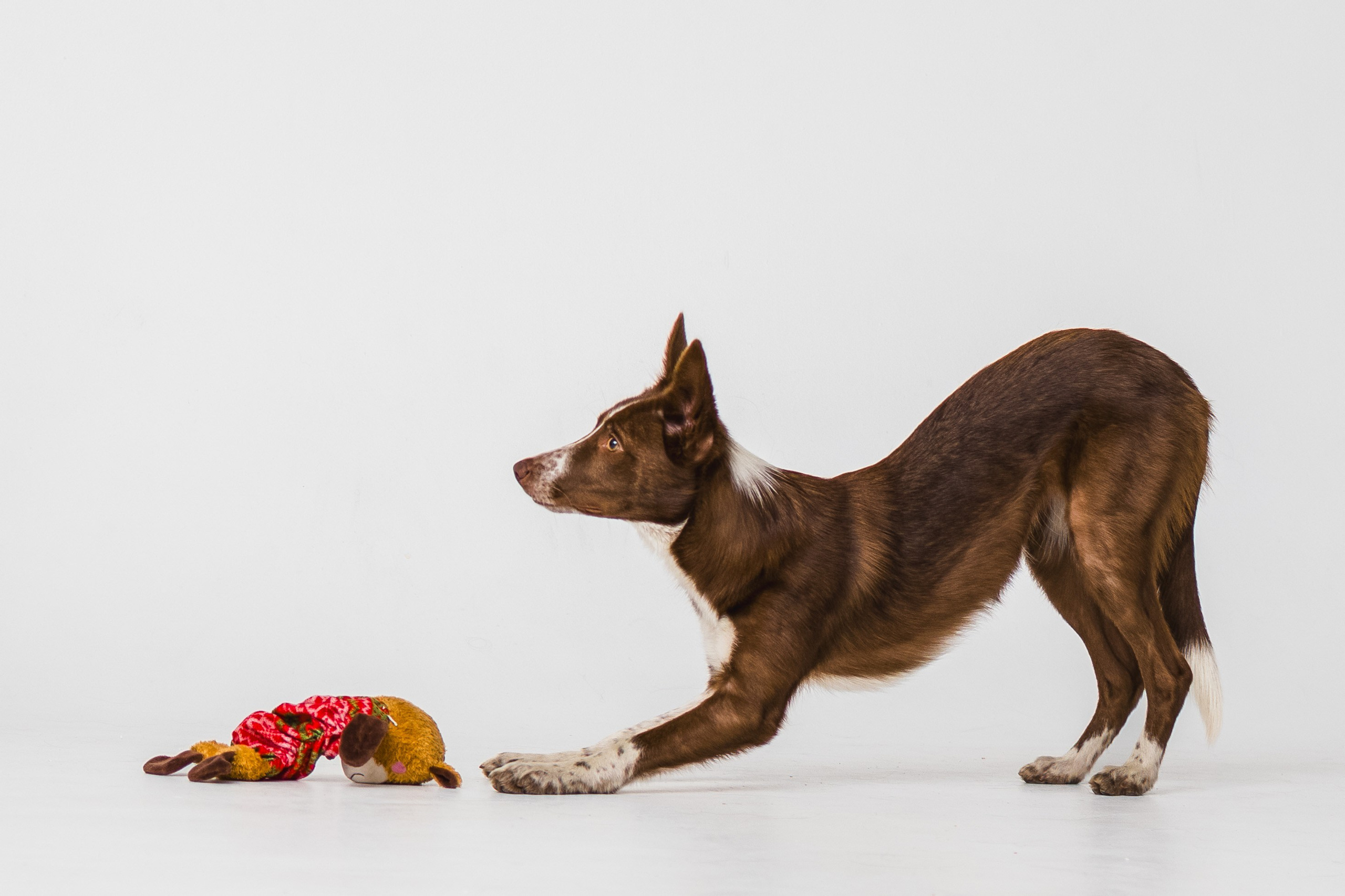 Воркшоп по импульсному свету