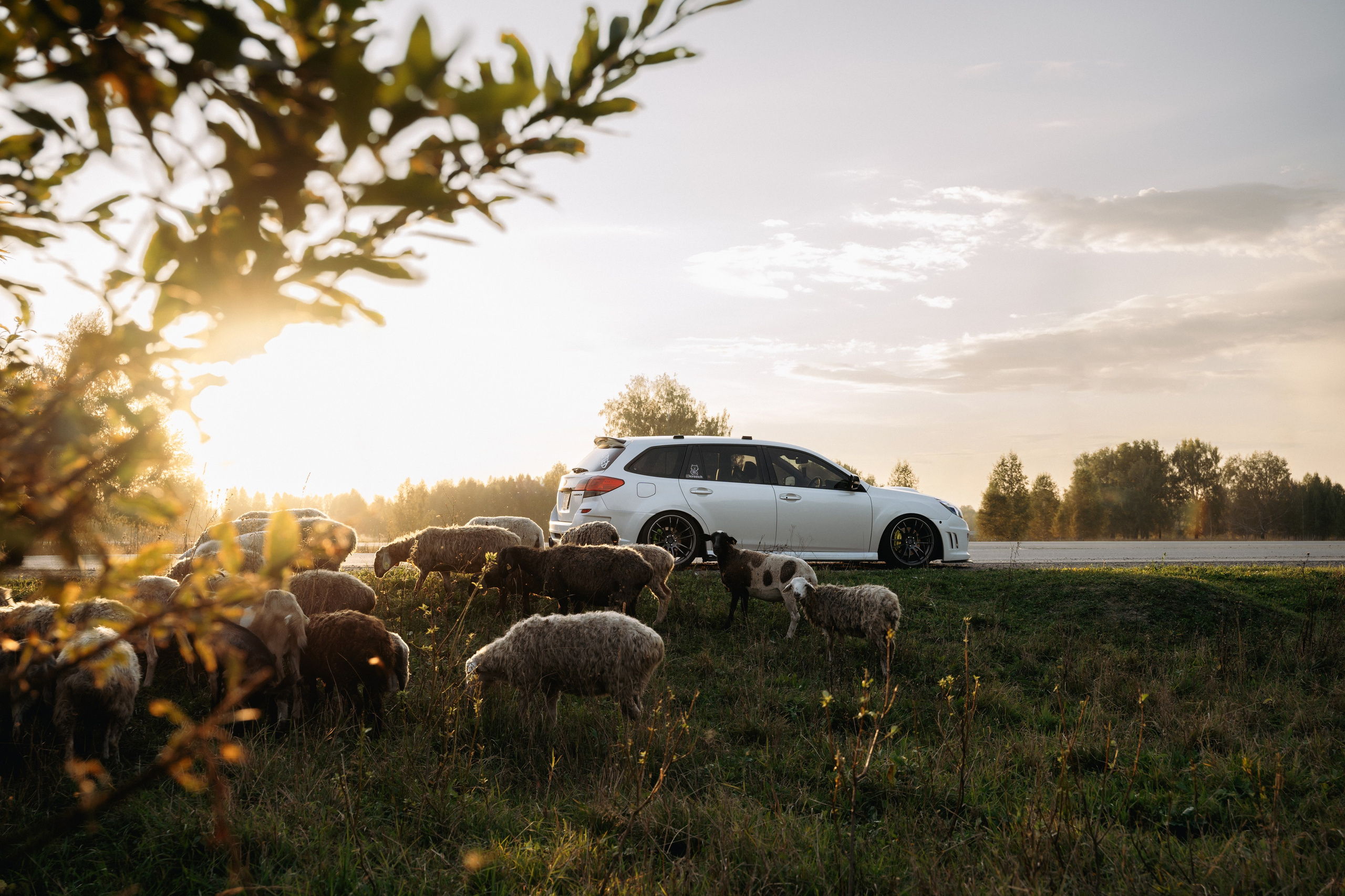 Subaru Legacy am|pm. Автомобильный фотограф и видеограф в Новосибирске|Александра Косухина
