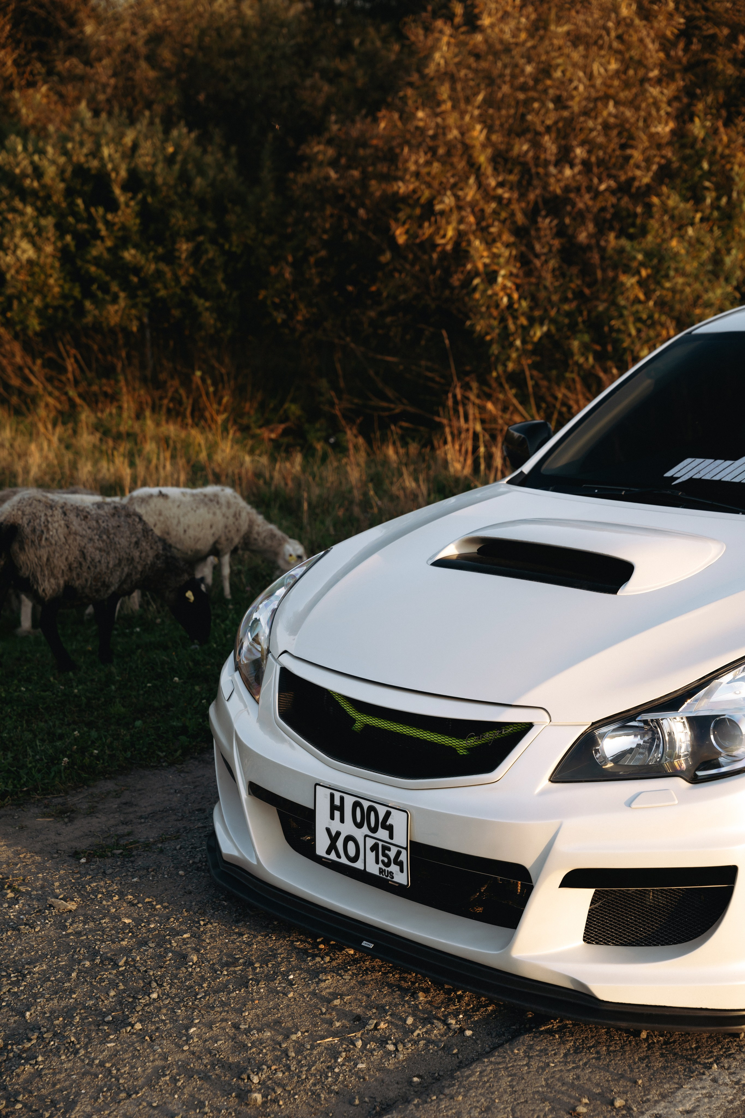 Subaru Legacy am|pm. Автомобильный фотограф и видеограф в Новосибирске|Александра Косухина