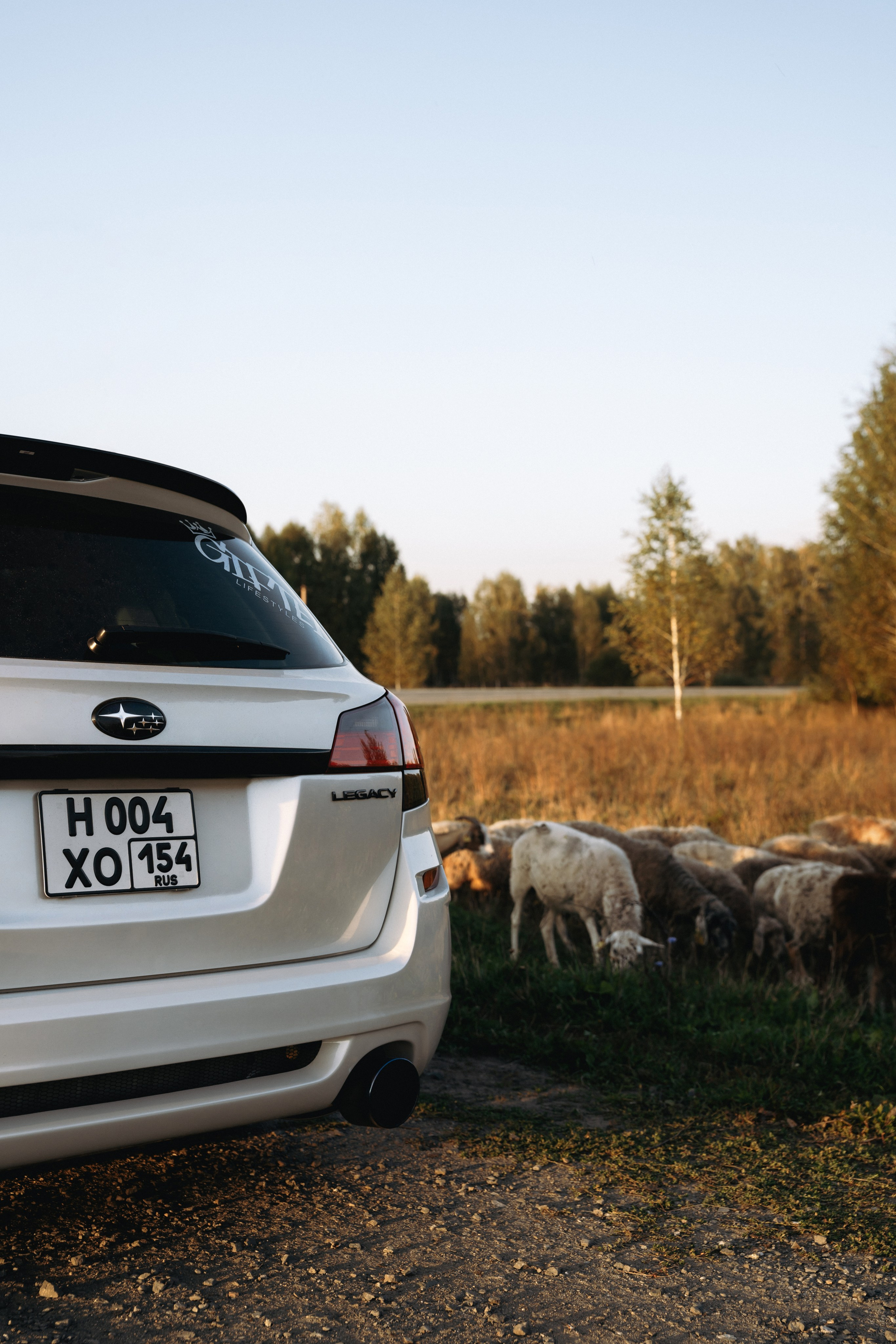 Subaru Legacy am|pm. Автомобильный фотограф и видеограф в Новосибирске|Александра Косухина