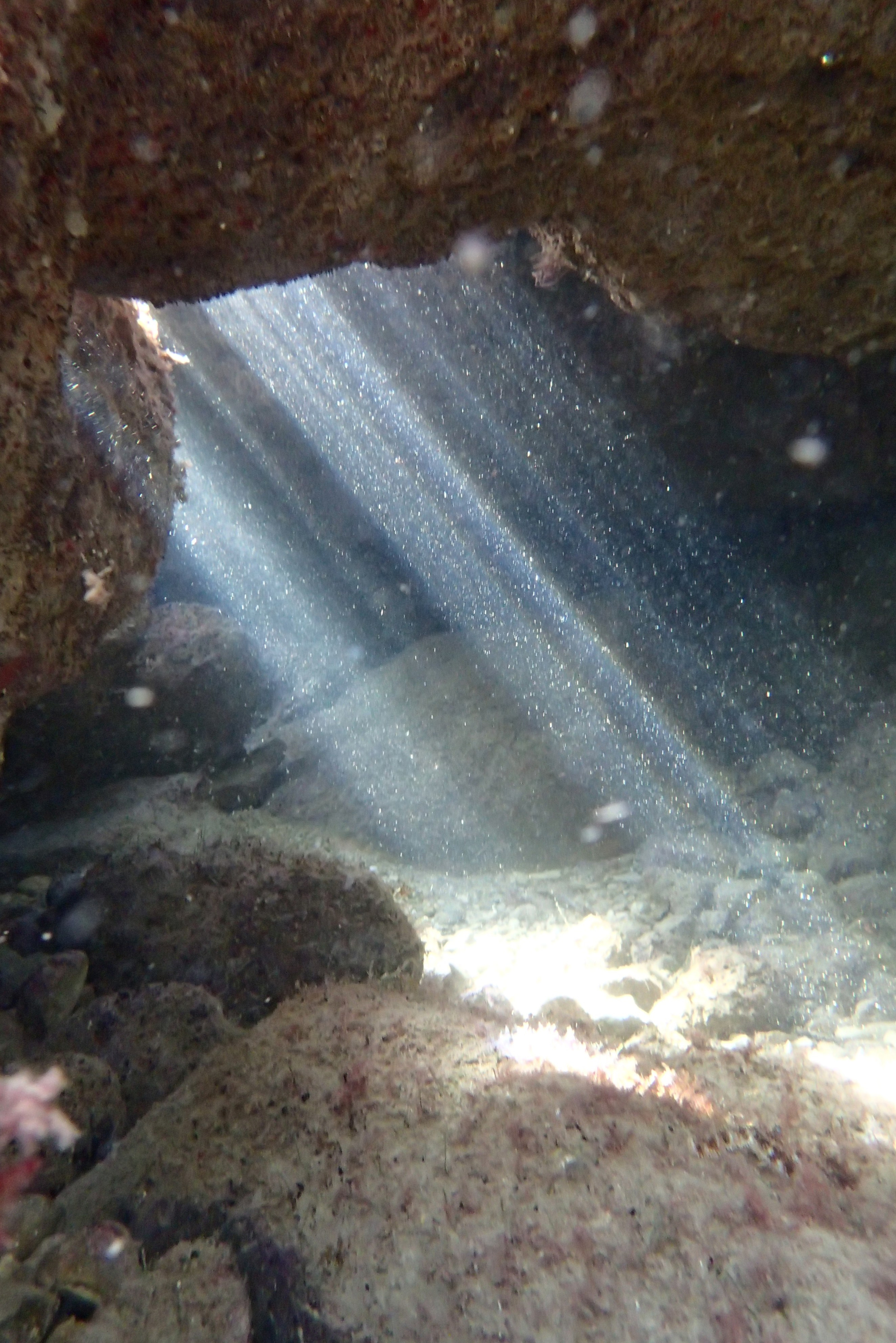 Испания. Свадебный фотограф Копков Геннадий