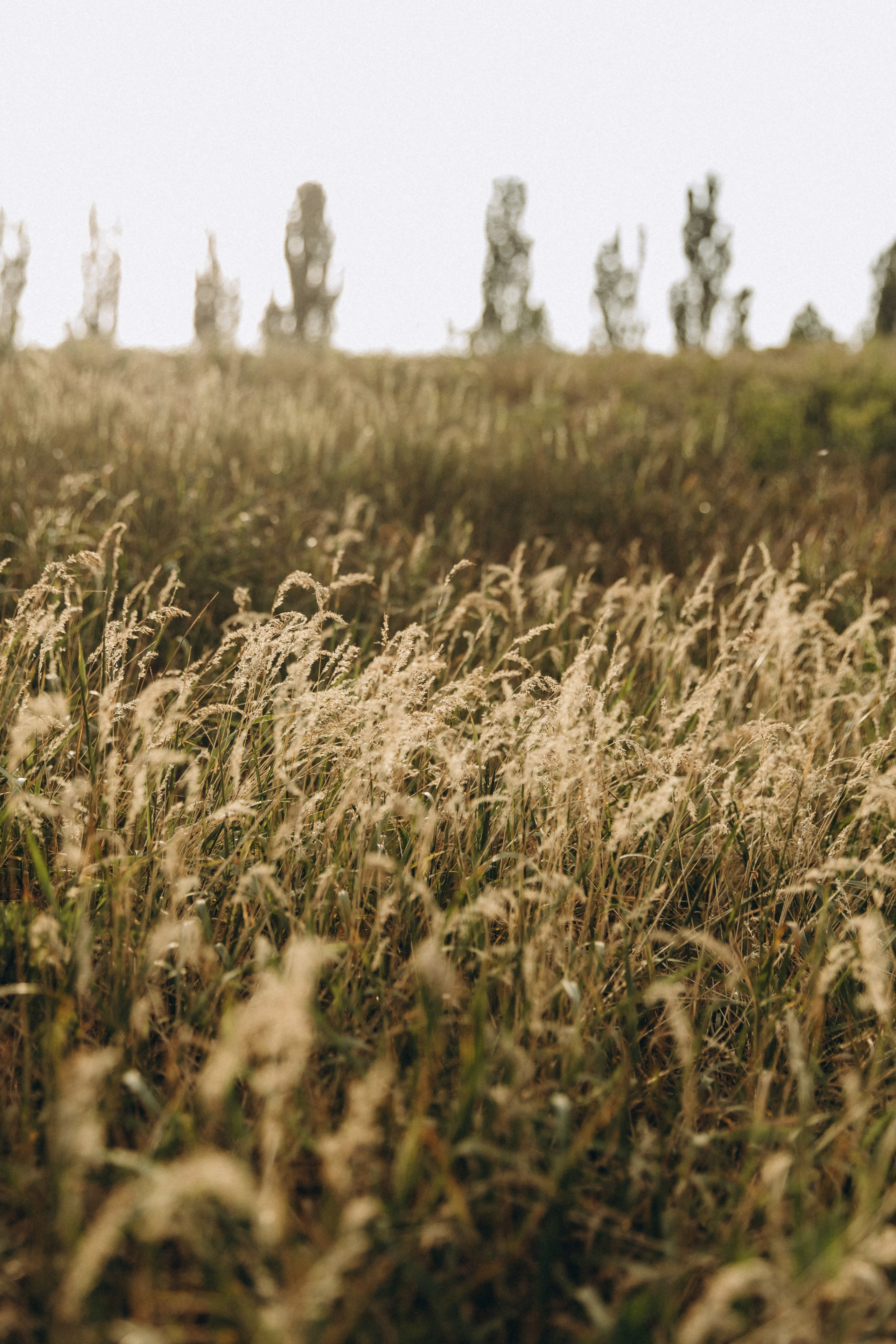 Семья Большаковых. Главная