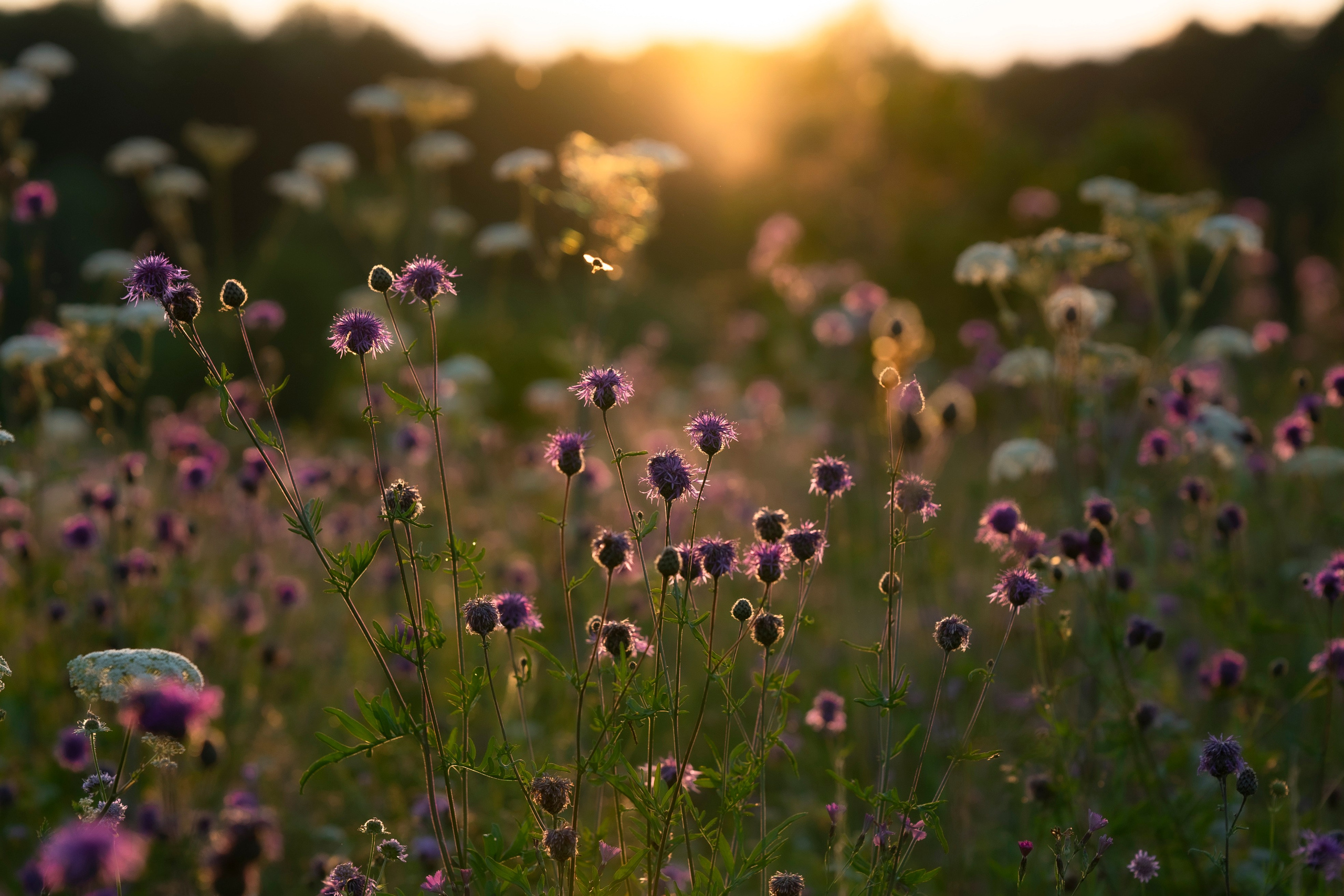 НАД ВОДОЙ. Фотограф Татьяна Андриянова