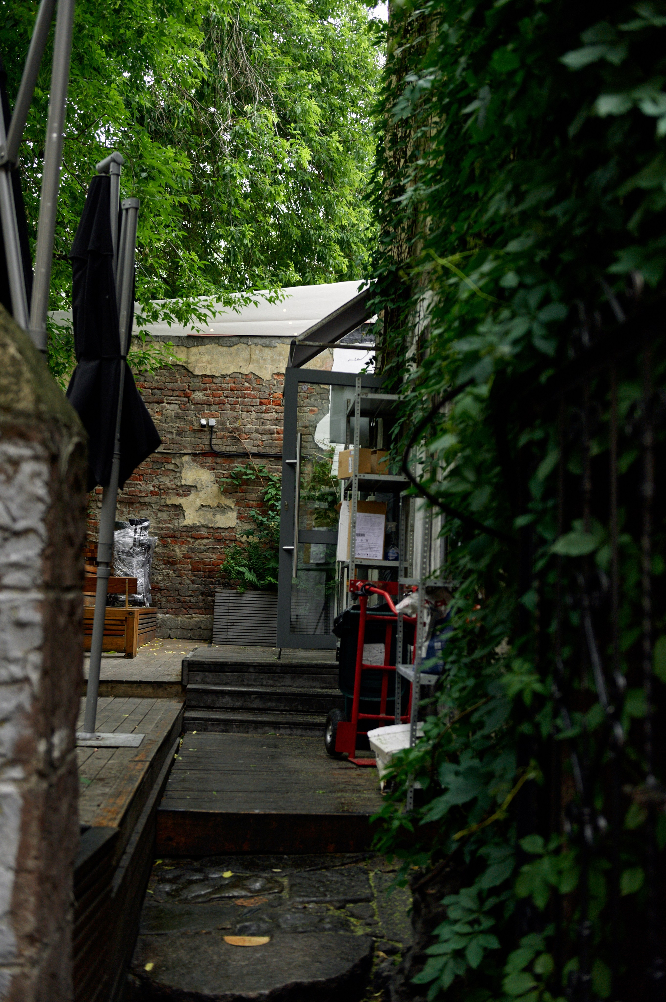 Анонс свадьбы Сергея и Марии — 2025. Дмитрий Черяник свадебный и семейный фотограф