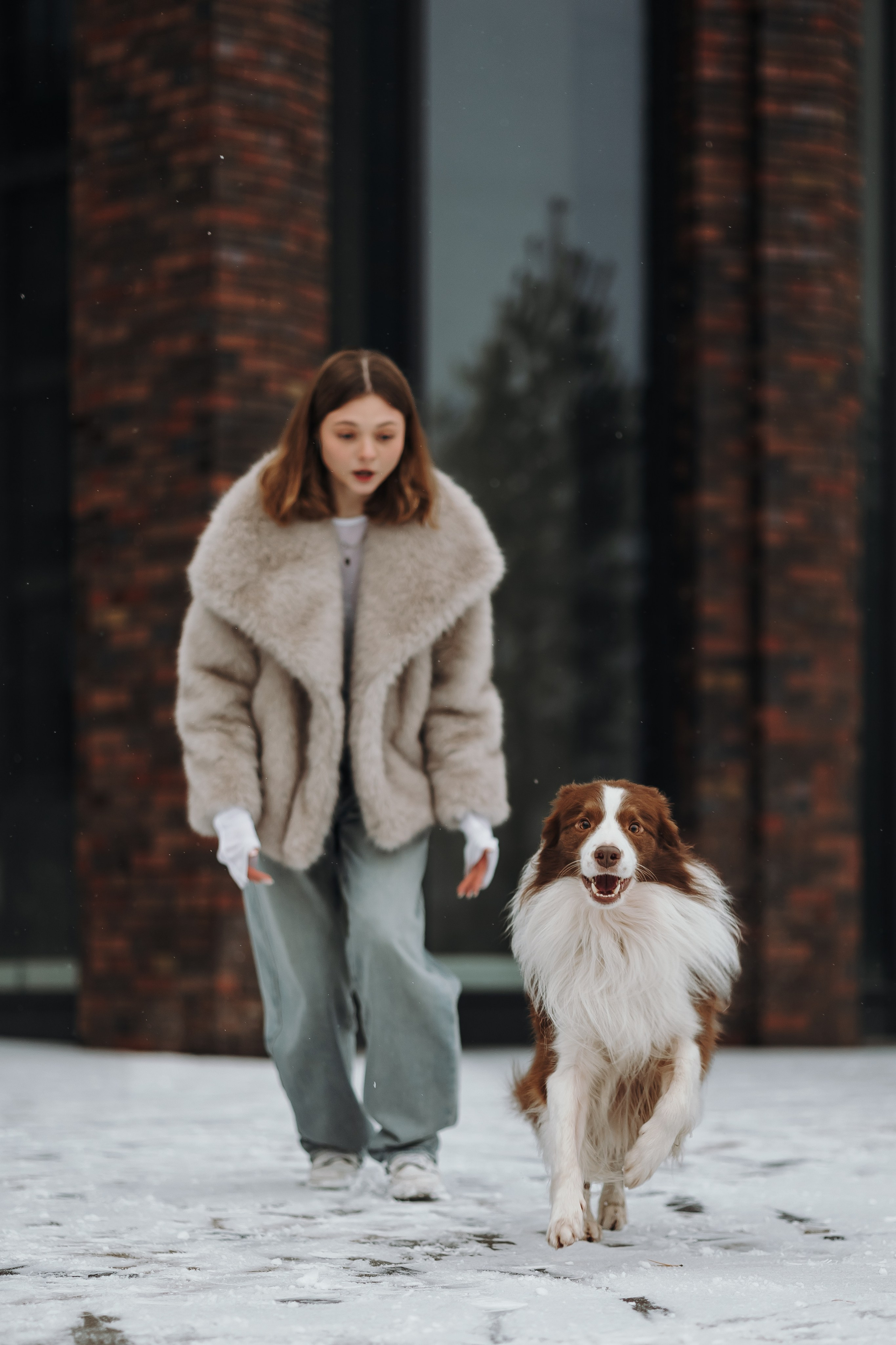 Маша и Брауни. Фотограф-анималист в Санкт-Петербурге Алина Яхонт