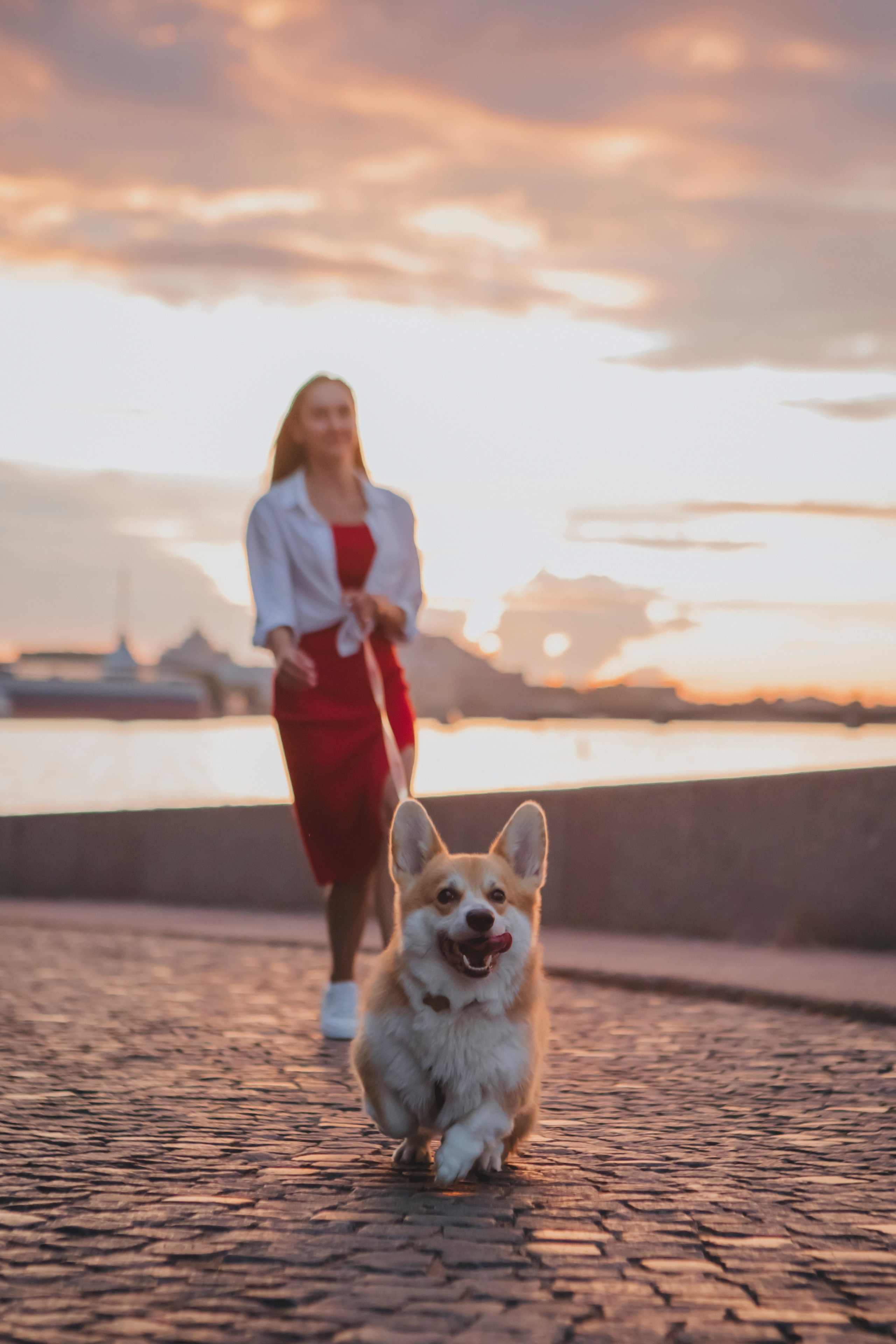 Настя и Стёпа. Фотограф-анималист в Санкт-Петербурге Алина Яхонт