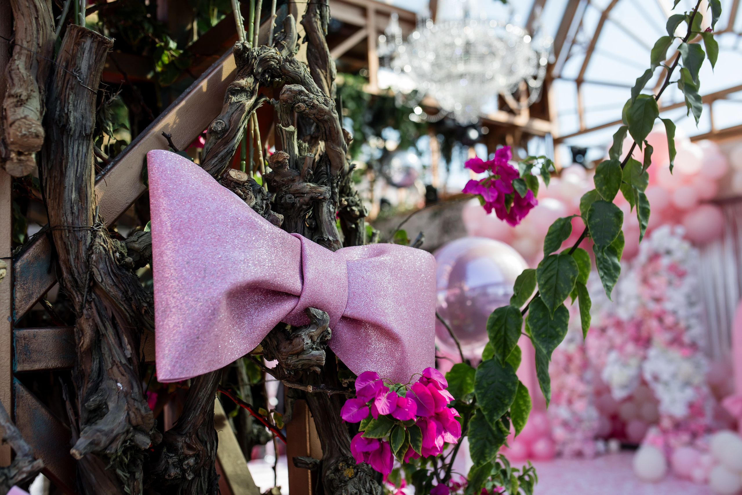 Детский день рождения, фотосессия детского дня рождения. Репортажной и Свадебный фотограф Слава Цесарь